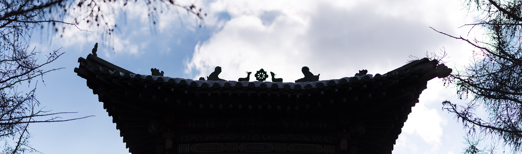 Nikon D810 + Nikon AF-S Nikkor 85mm F1.8G sample photo. Temple roof detail photography