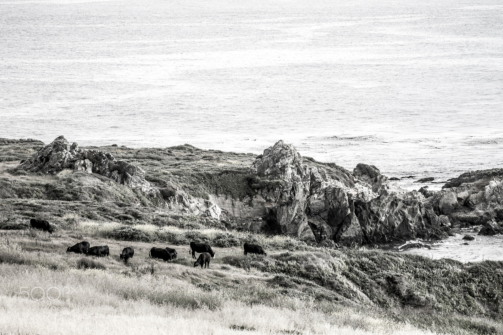 Canon EOS 1100D (EOS Rebel T3 / EOS Kiss X50) + EF75-300mm f/4-5.6 sample photo. Coast highway1 photography