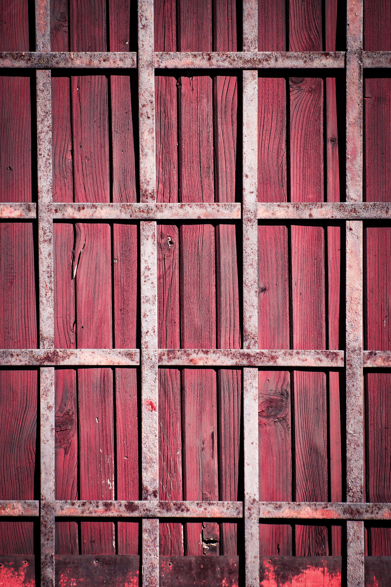 Nikon D5500 sample photo. Iron lattice on a wooden door photography