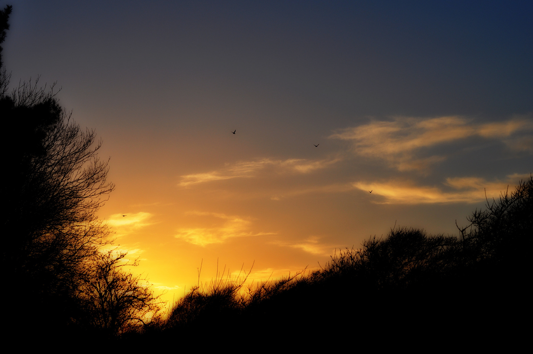 Nikon D5000 sample photo. Sky photography