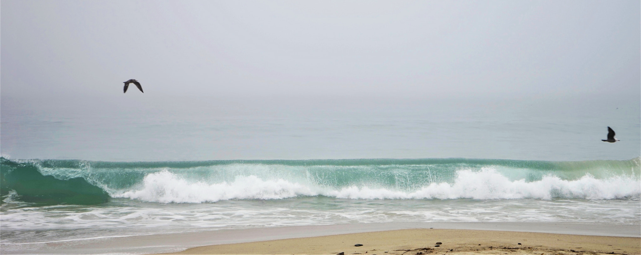 Sony a7 sample photo. Air traffic at the beach photography