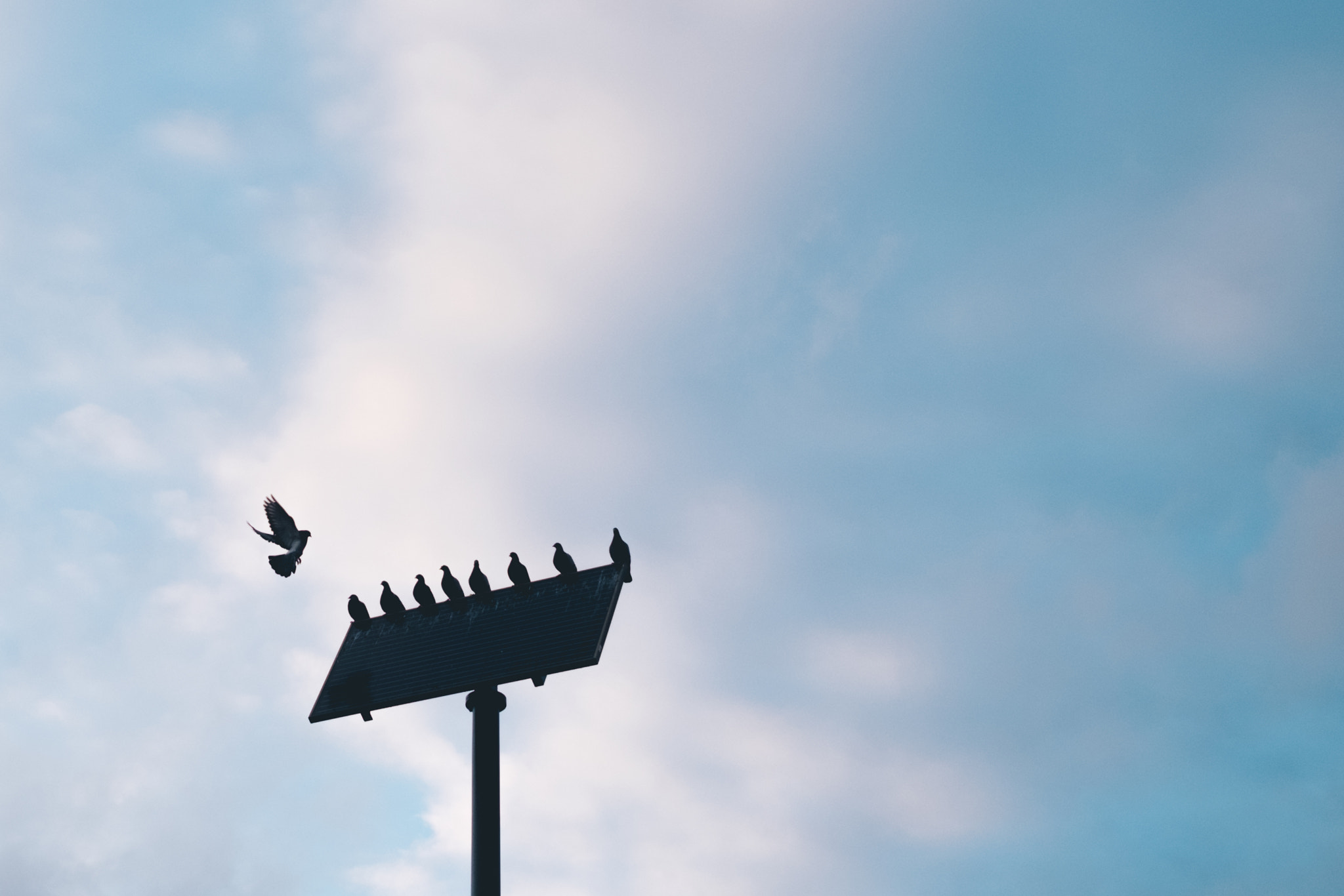Fujifilm X-T1 + Fujifilm XF 35mm F1.4 R sample photo. Untitled photography