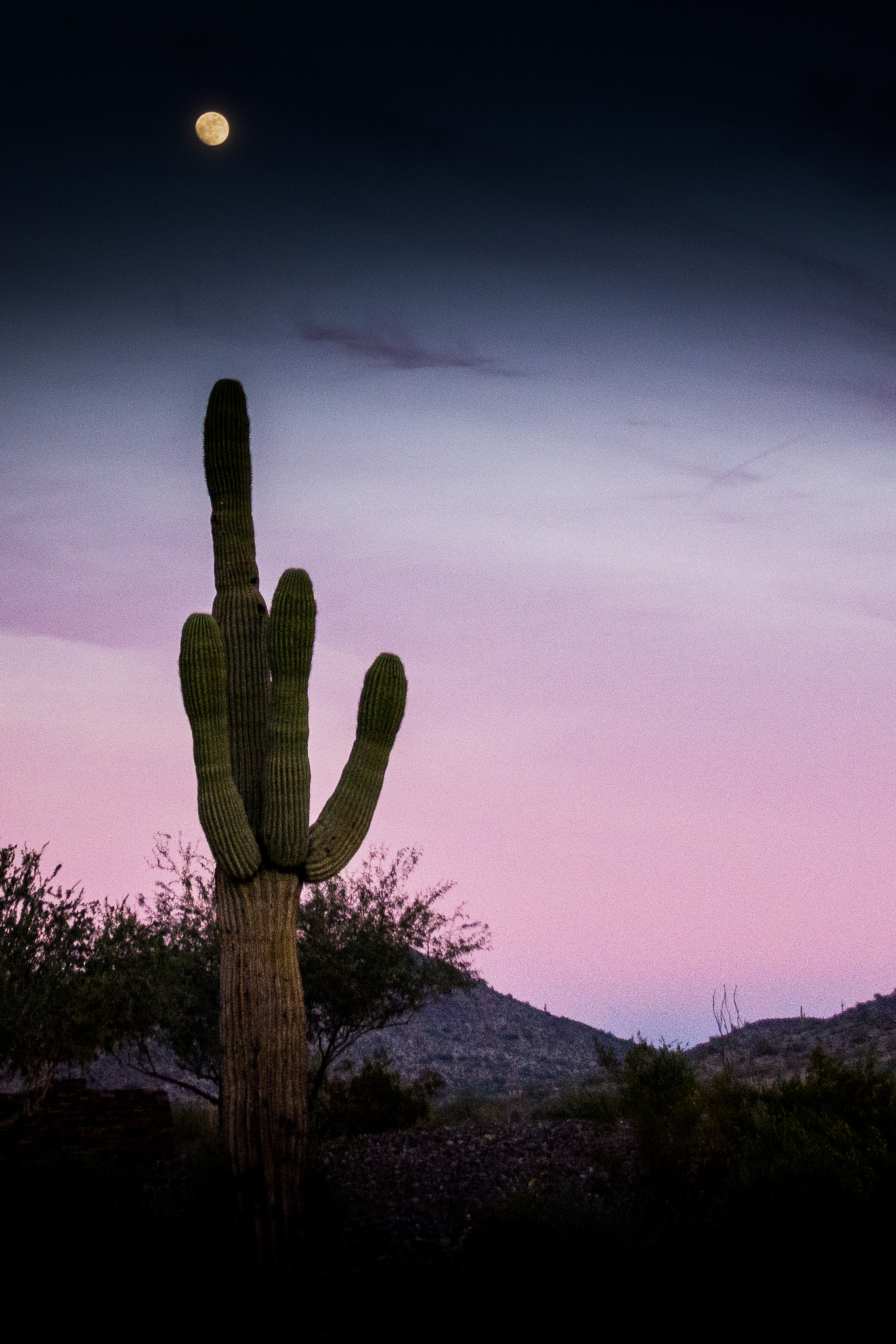 Nikon D7100 sample photo. Desert dusk photography