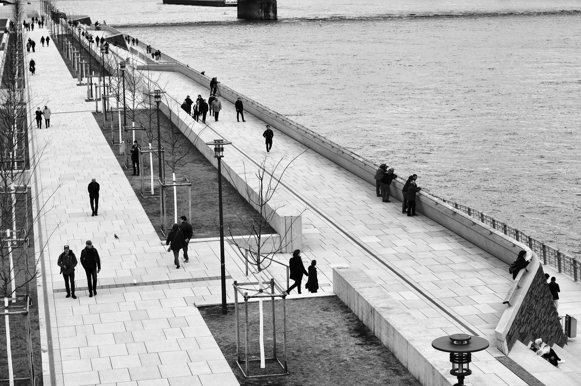 Canon EOS 760D (EOS Rebel T6s / EOS 8000D) + Canon EF 50mm F1.4 USM sample photo. Rhine river in köln photography