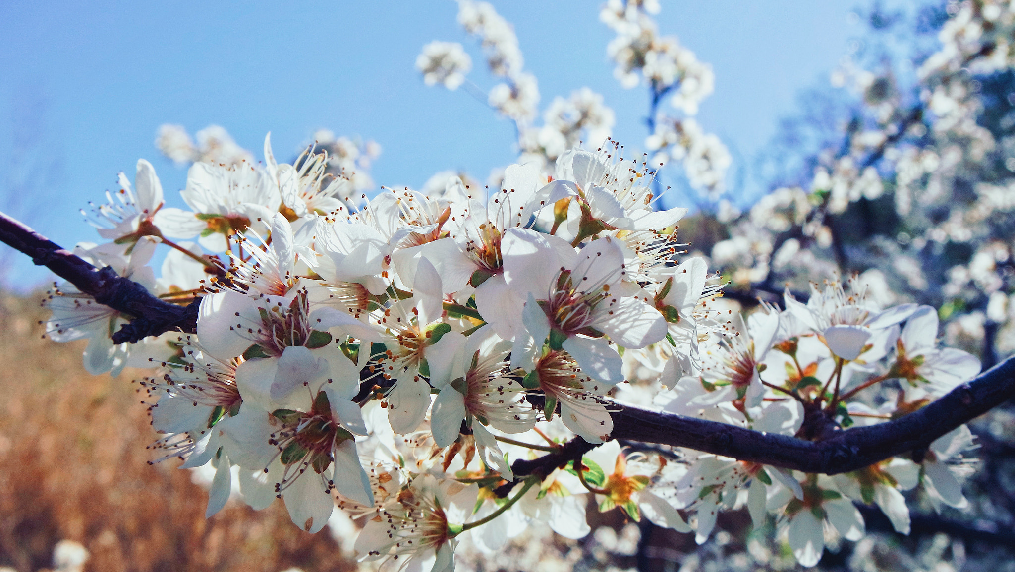 Samsung NX mini sample photo. The sun. photography