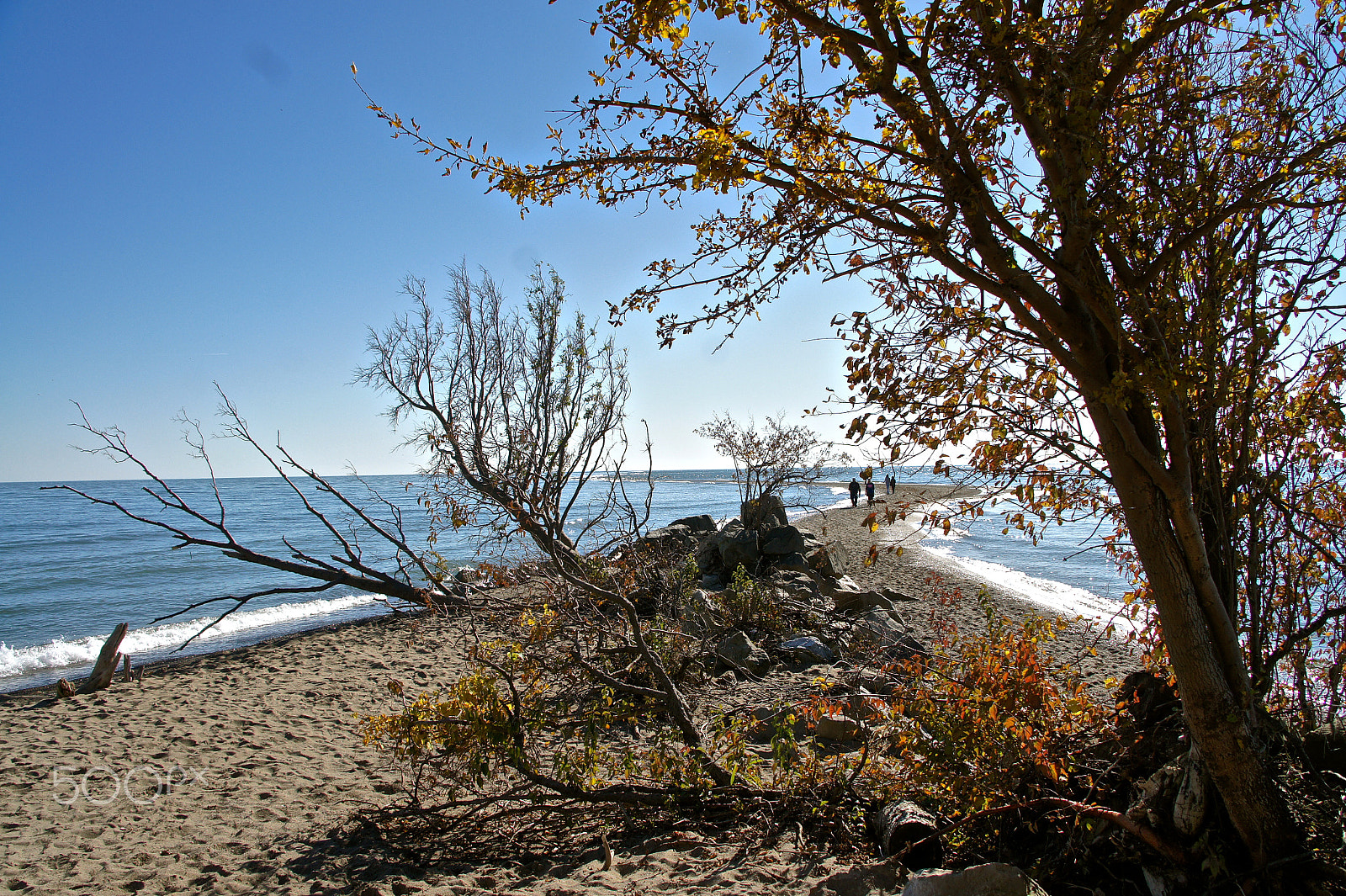 Sony Alpha NEX-5 sample photo. Southern most point in mainland canada photography