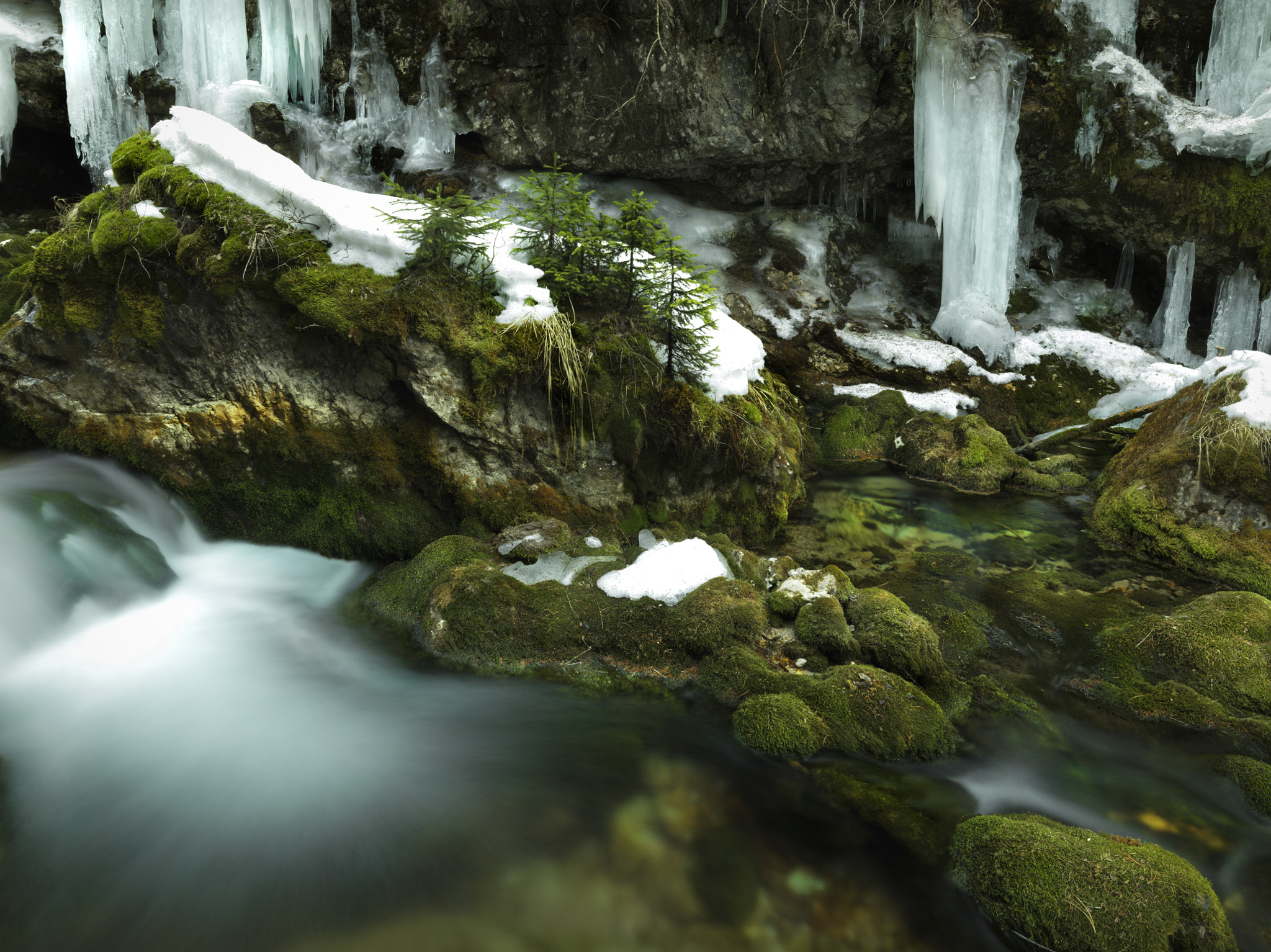 Hasselblad H4D-60 sample photo. Creek. trento alto adige. italy. photography