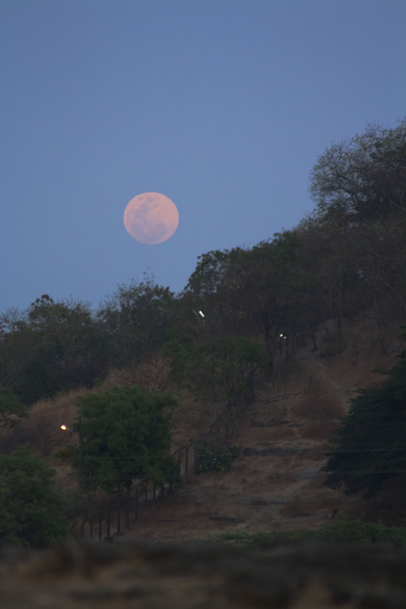 Canon EOS 1000D (EOS Digital Rebel XS / EOS Kiss F) sample photo. Stairway to moon photography
