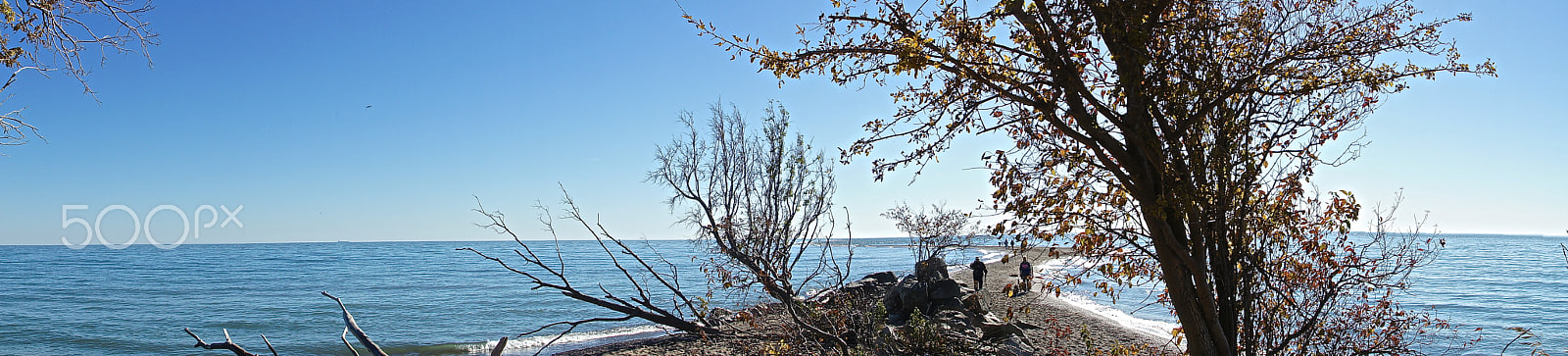 Sony Alpha NEX-5 sample photo. Lands-end canada photography