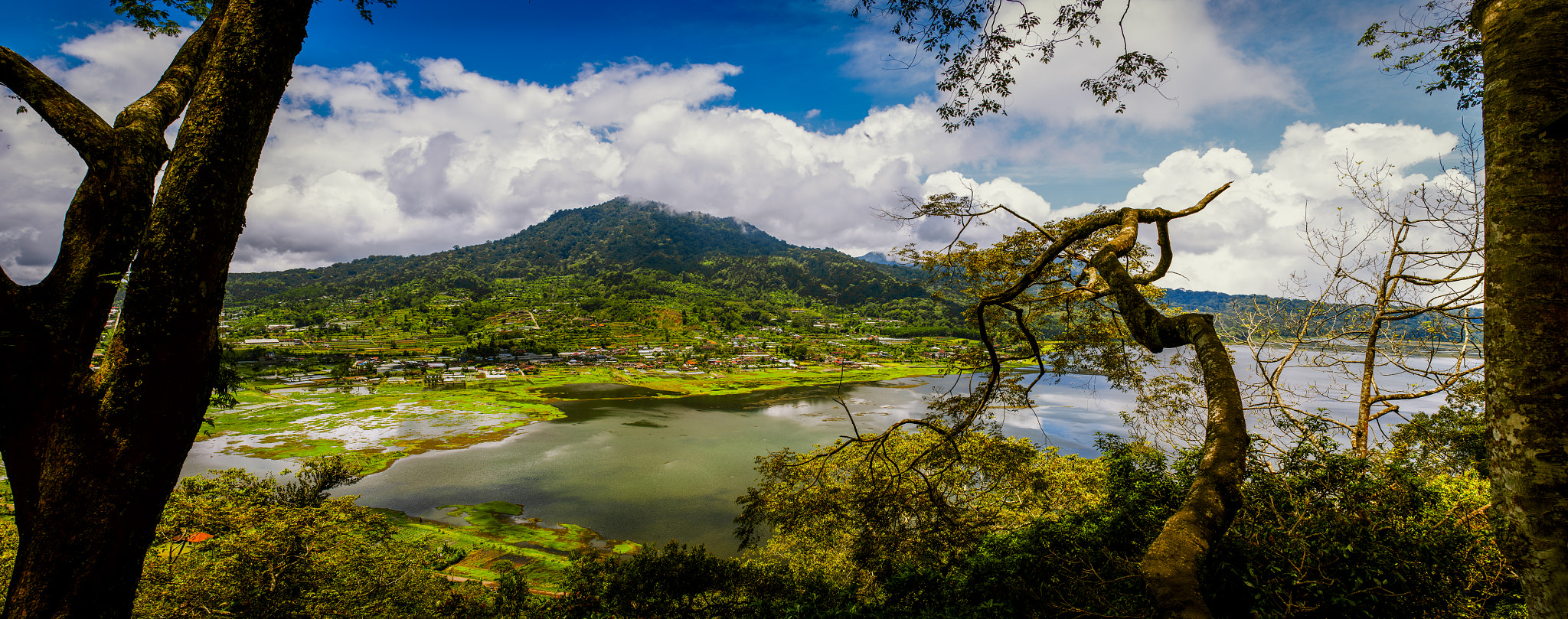 Nikon D3 sample photo. Somewhere at buyan lake, bali photography