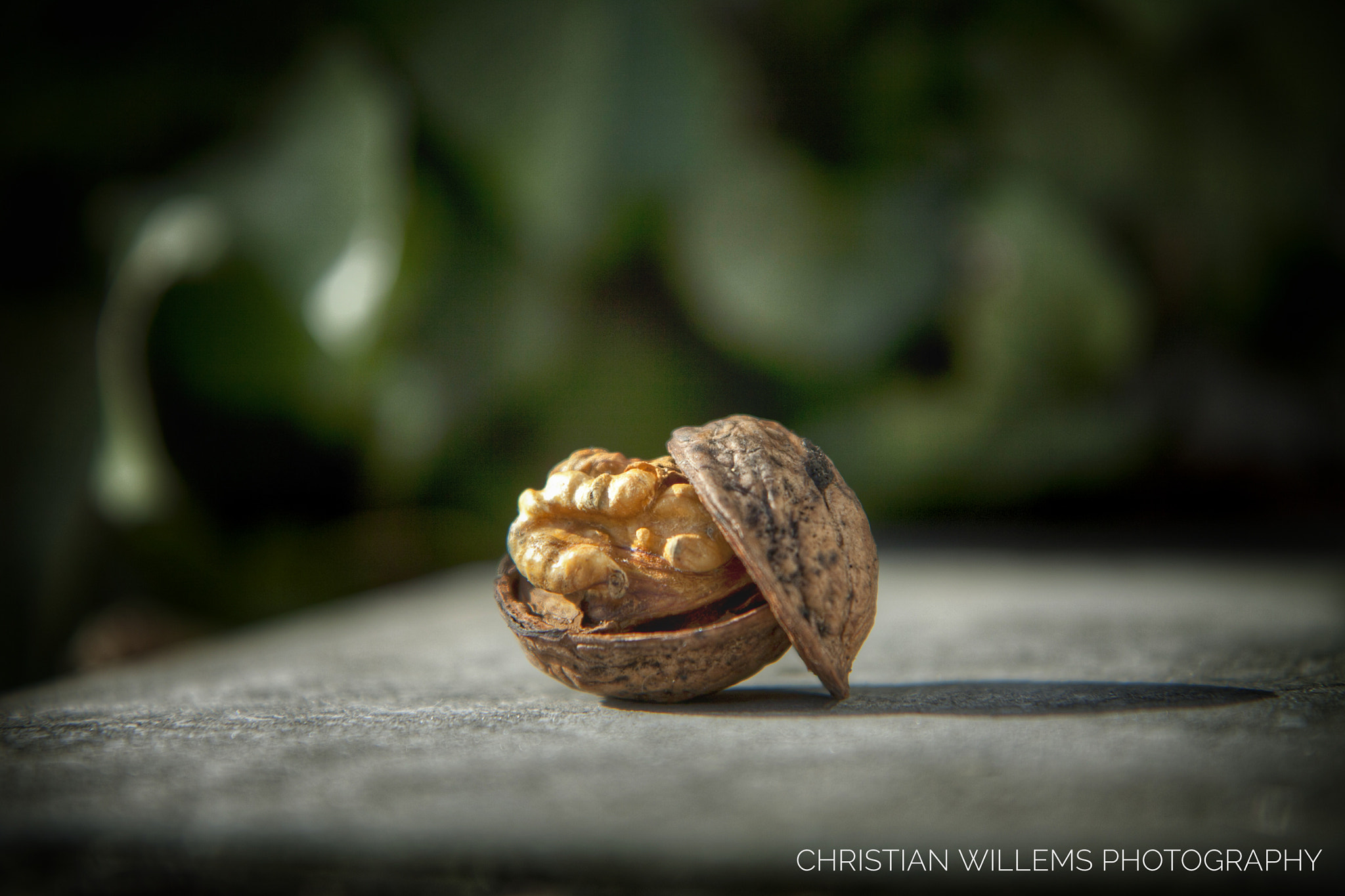 Canon EF-S 17-55mm F2.8 IS USM sample photo. Noix photography