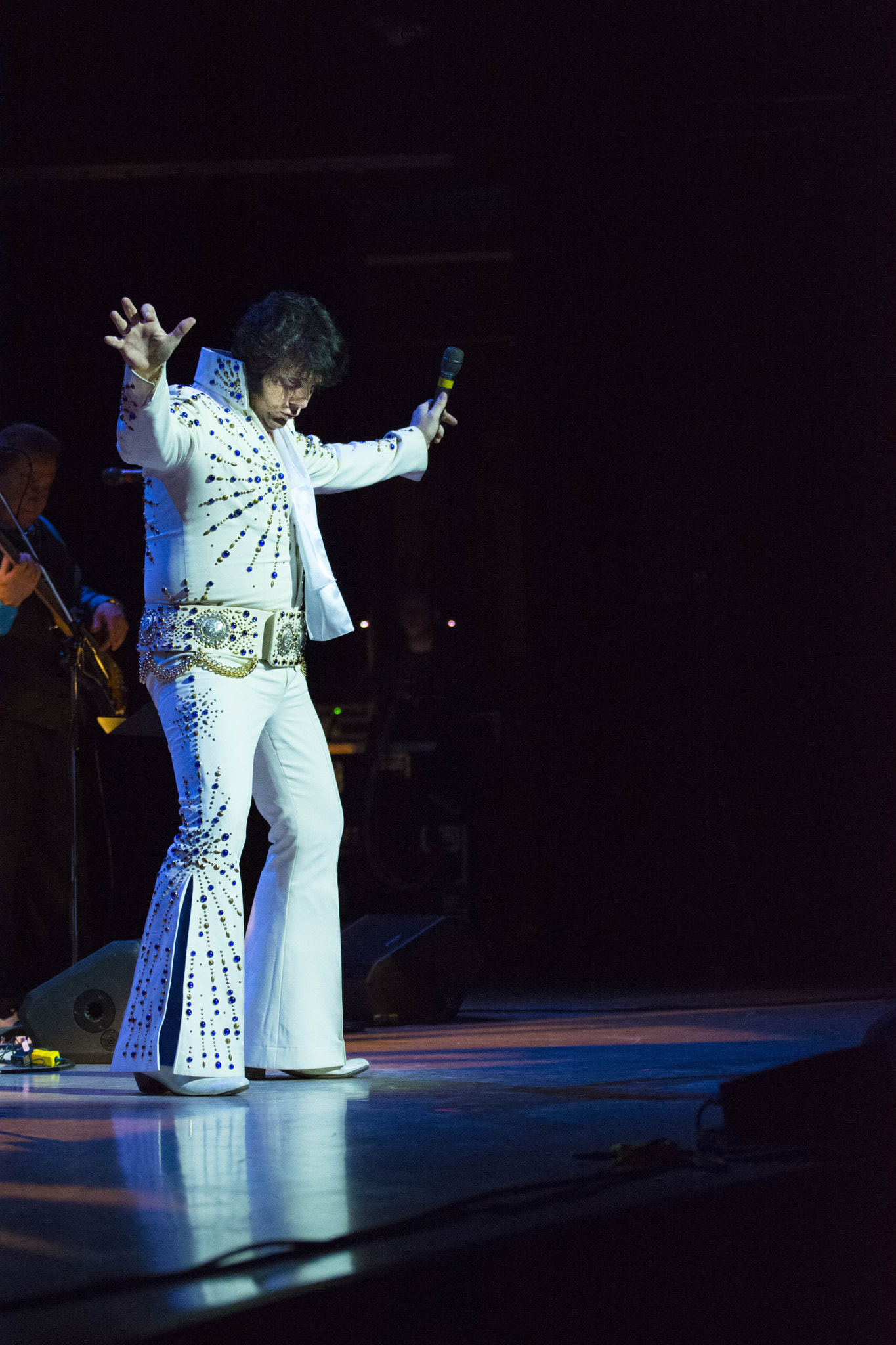 Nikon AF-S Nikkor 70-200mm F2.8G ED VR II sample photo. Elvis photography
