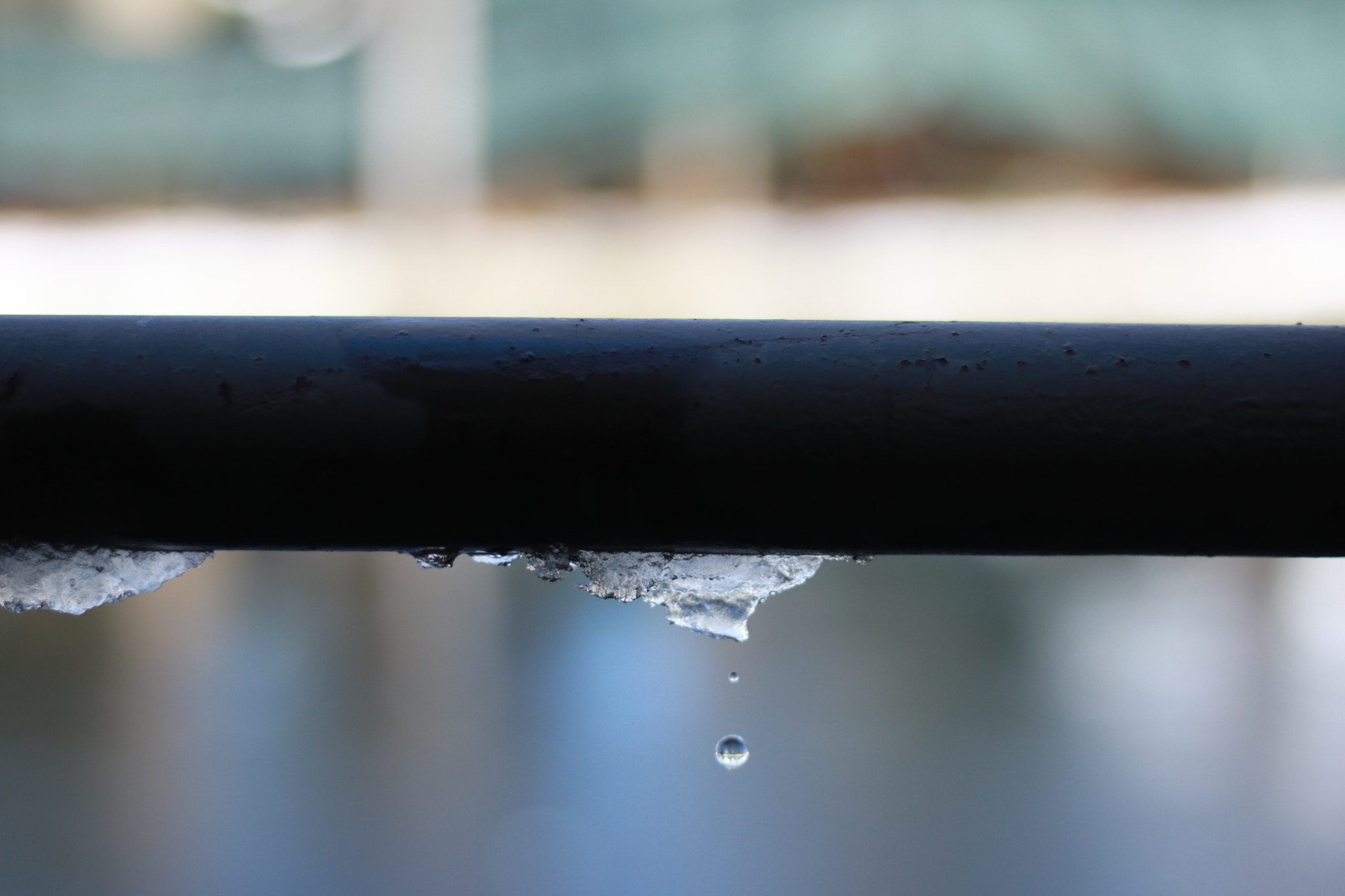 Canon EOS 750D (EOS Rebel T6i / EOS Kiss X8i) sample photo. Img photography