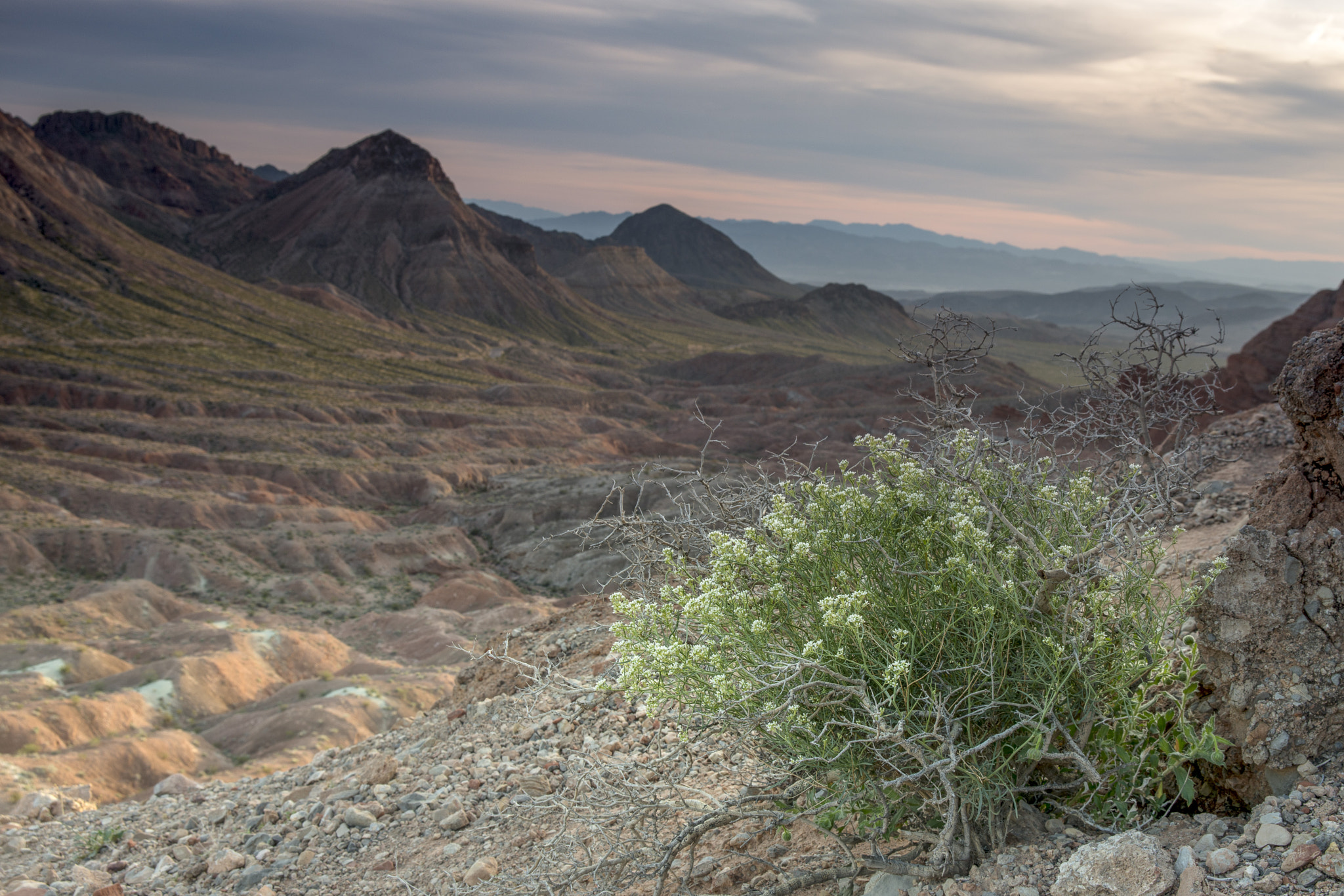 Nikon D800 sample photo. Spring sunset photography