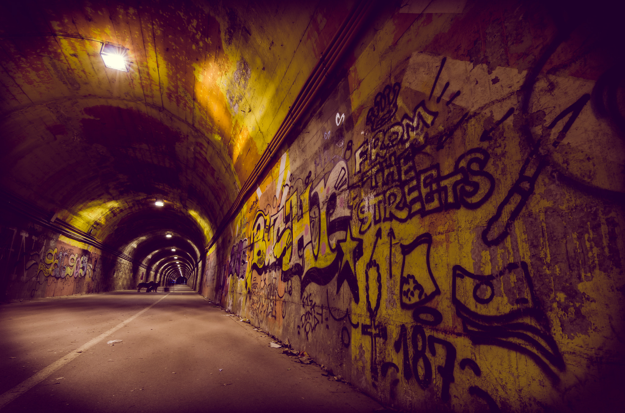 Nikon D7000 + Tokina AT-X Pro 11-16mm F2.8 DX II sample photo. Grafiti tunnel photography