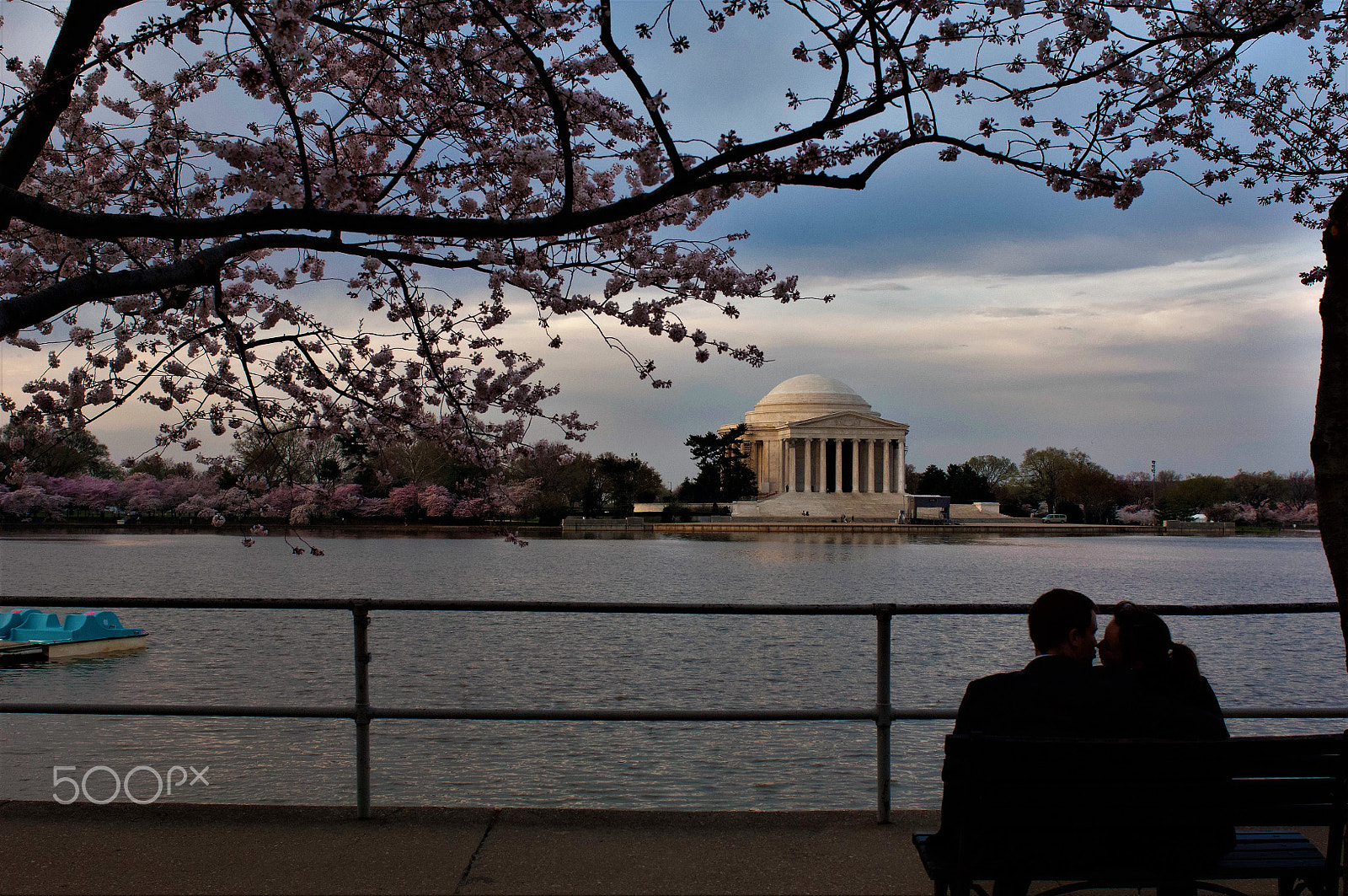 Nikon D2X + Nikon AF-S Nikkor 28-70mm F2.8 ED-IF sample photo. Cherry blossom in washington dc photography