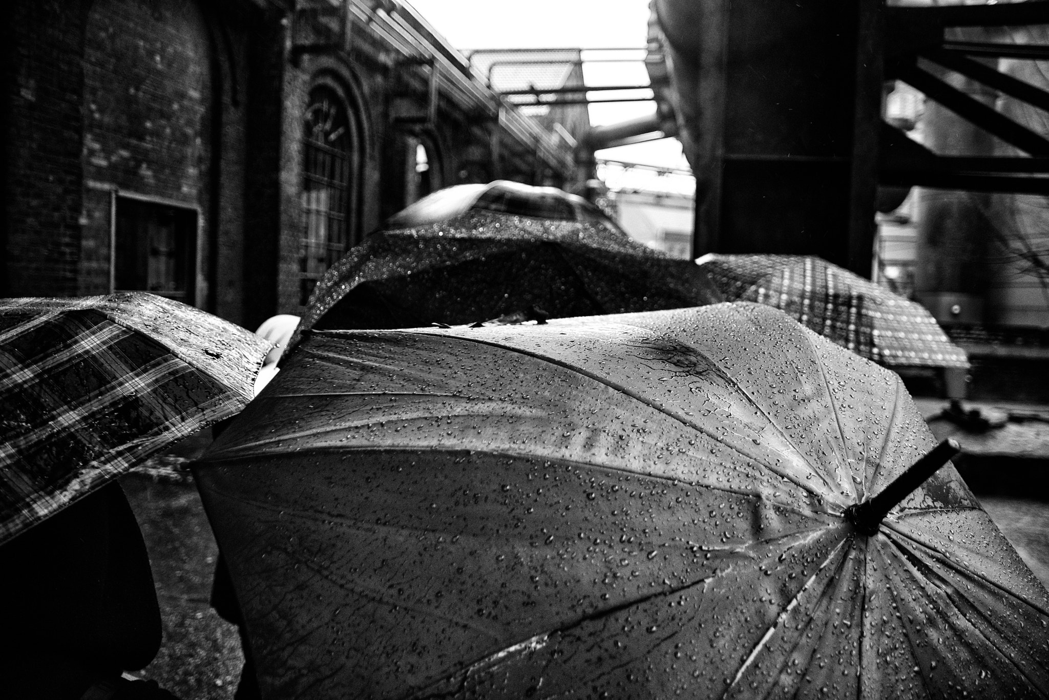 AF Zoom-Nikkor 28-105mm f/3.5-4.5D IF sample photo. Rain photography