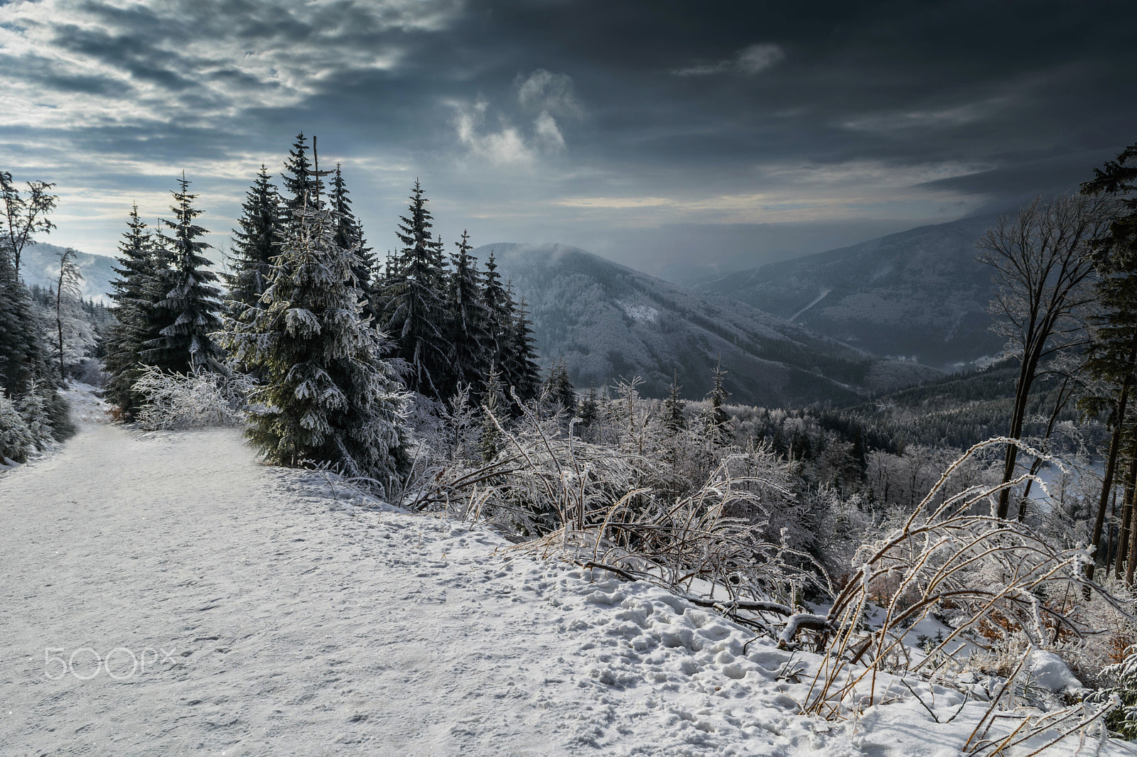 Nikon D5500 sample photo. Winter photography
