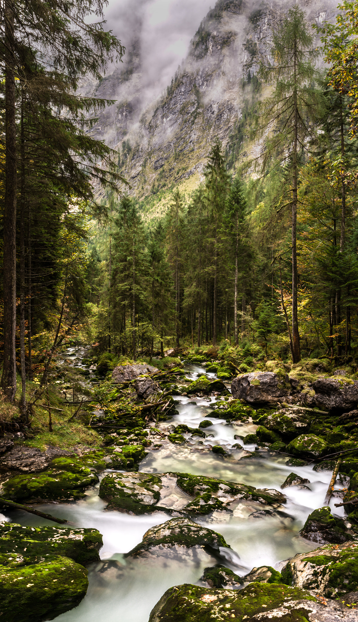 Nikon AF-S Nikkor 24-70mm F2.8G ED sample photo. Alpine stream photography