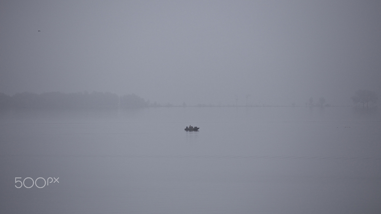 Canon EOS 6D + Canon EF 100-400mm F4.5-5.6L IS USM sample photo. Foggy morn photography