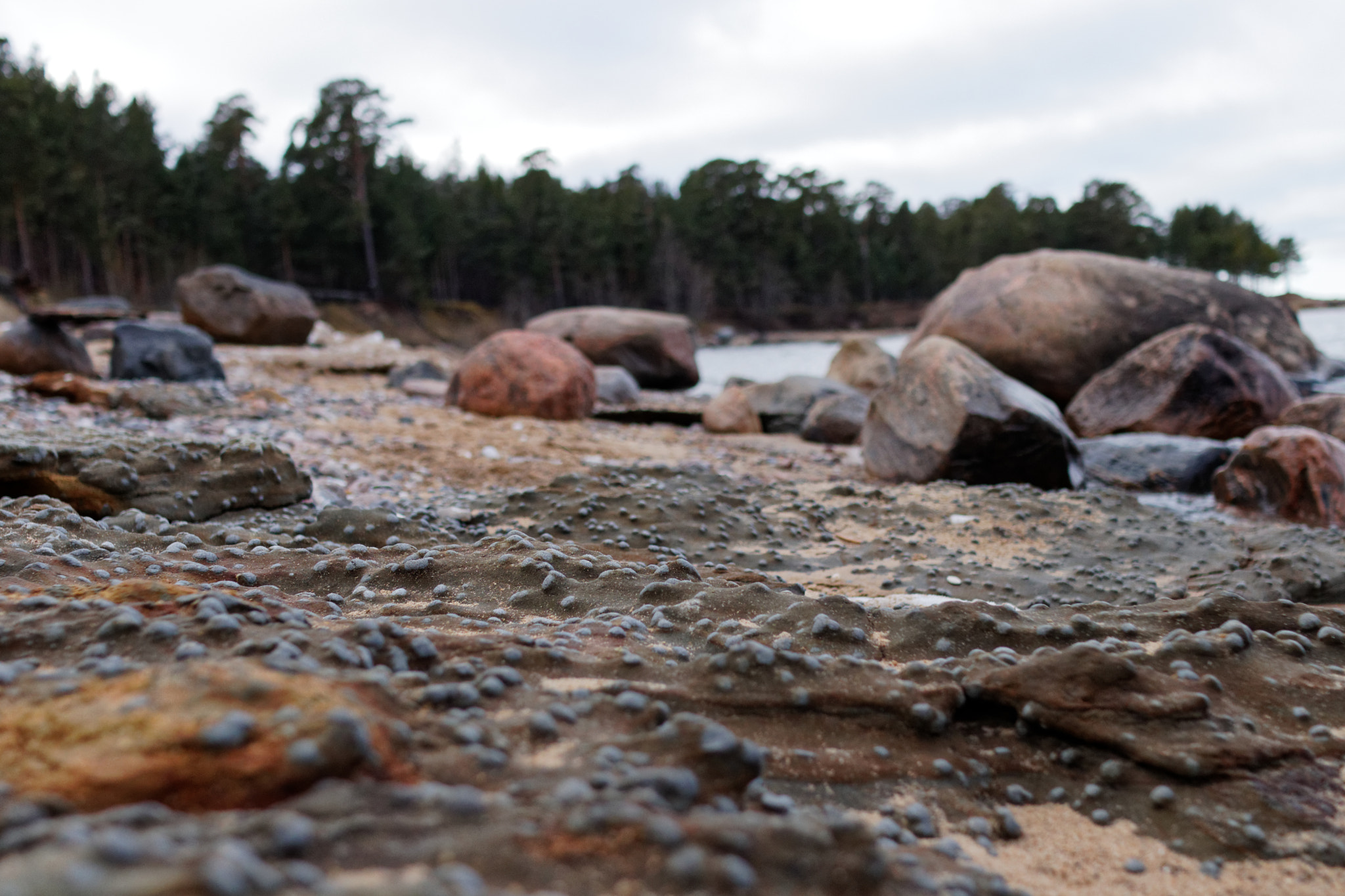 Sigma 30mm F1.4 EX DC HSM sample photo. Sea-worn concrete photography