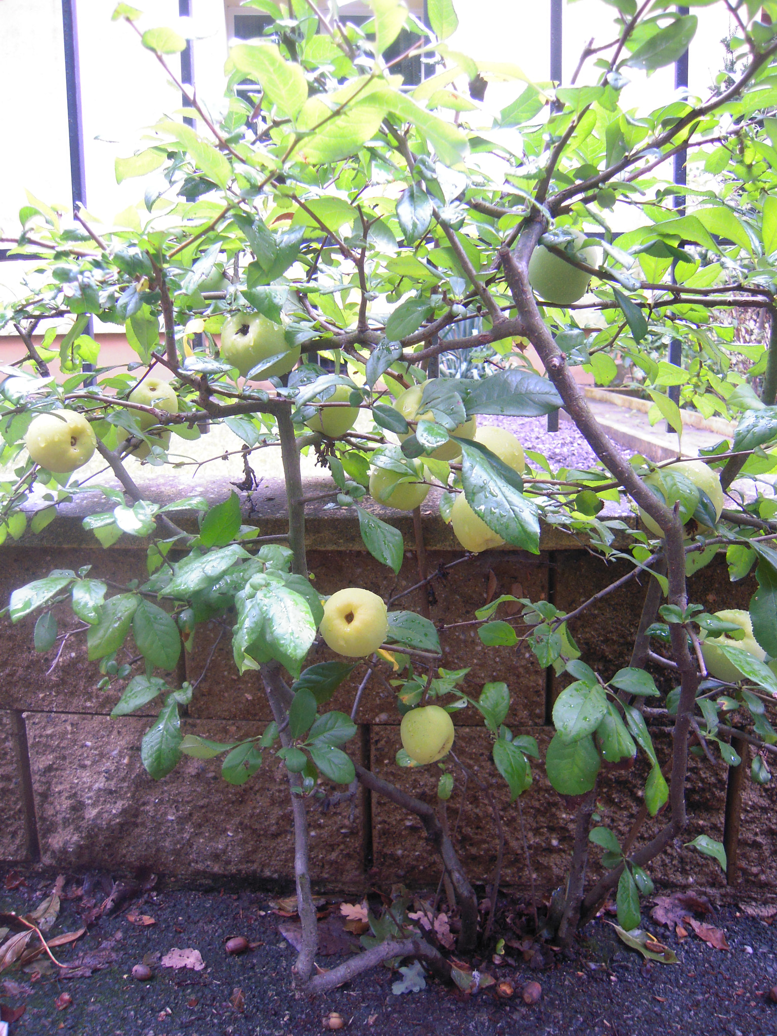 Nikon Coolpix S620 sample photo. Life is invincible! photography