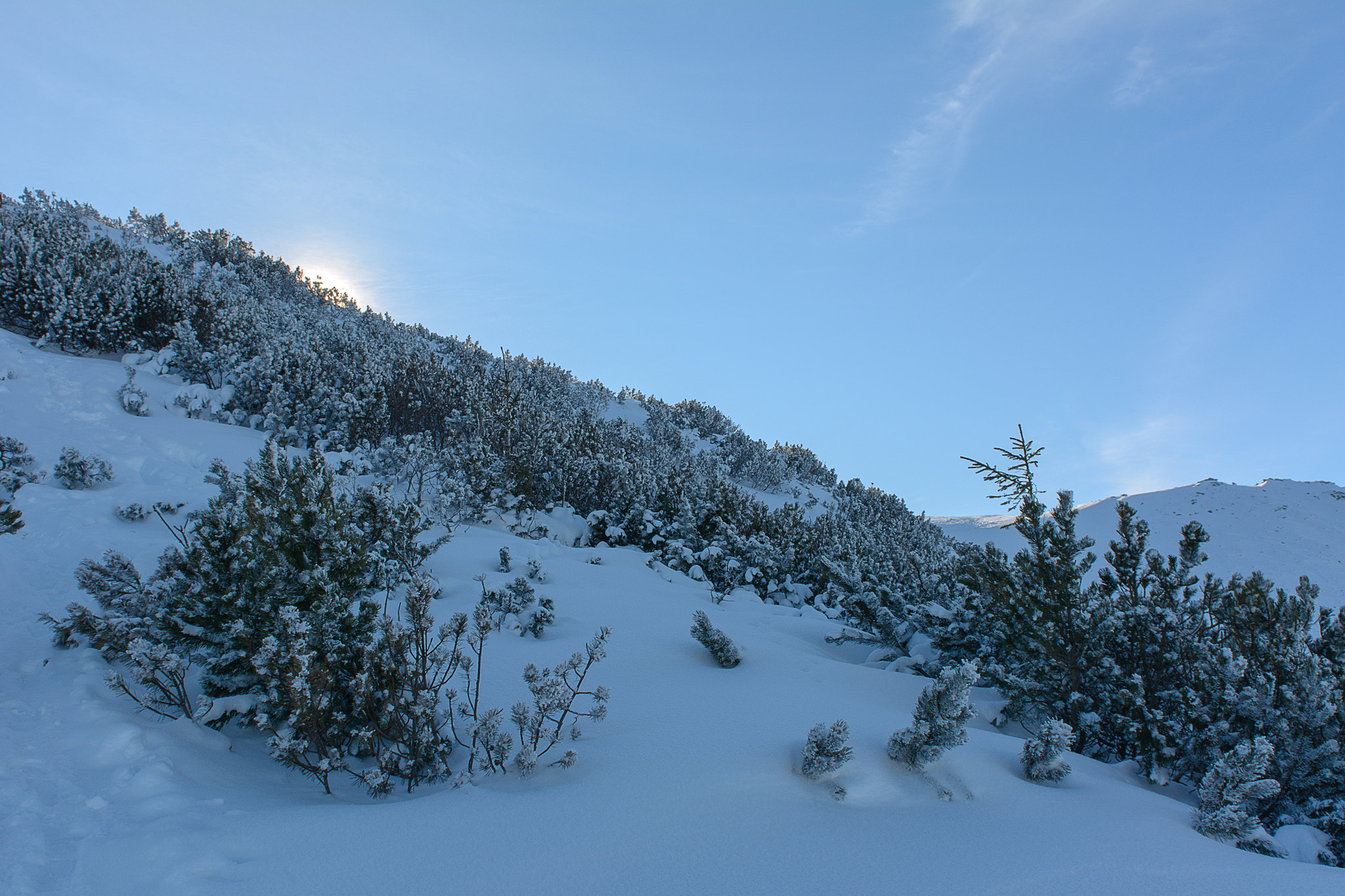 Nikon AF-S Nikkor 24-70mm F2.8G ED sample photo. Snow silence photography