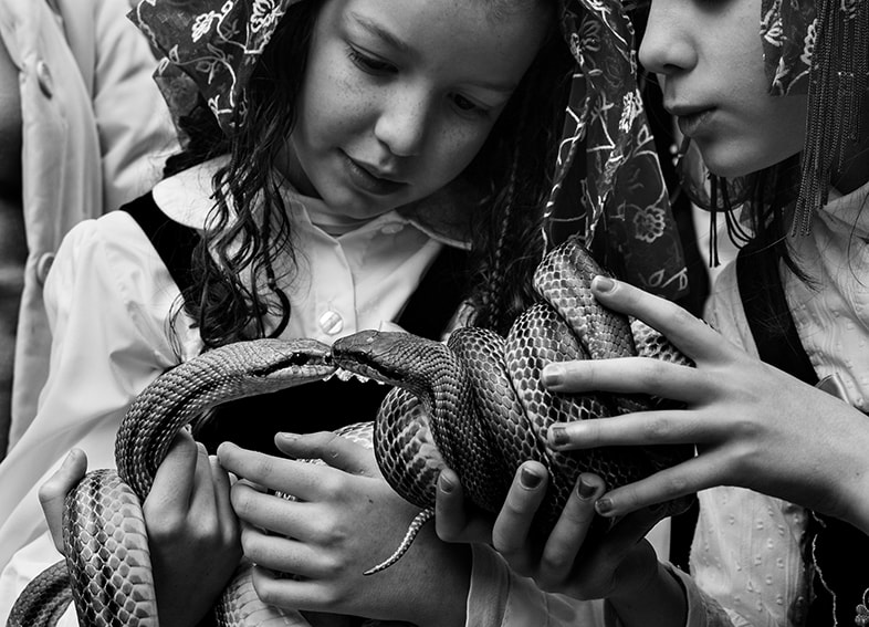 Fujifilm XC 16-50mm F3.5-5.6 OIS II sample photo. Snakes kissing photography