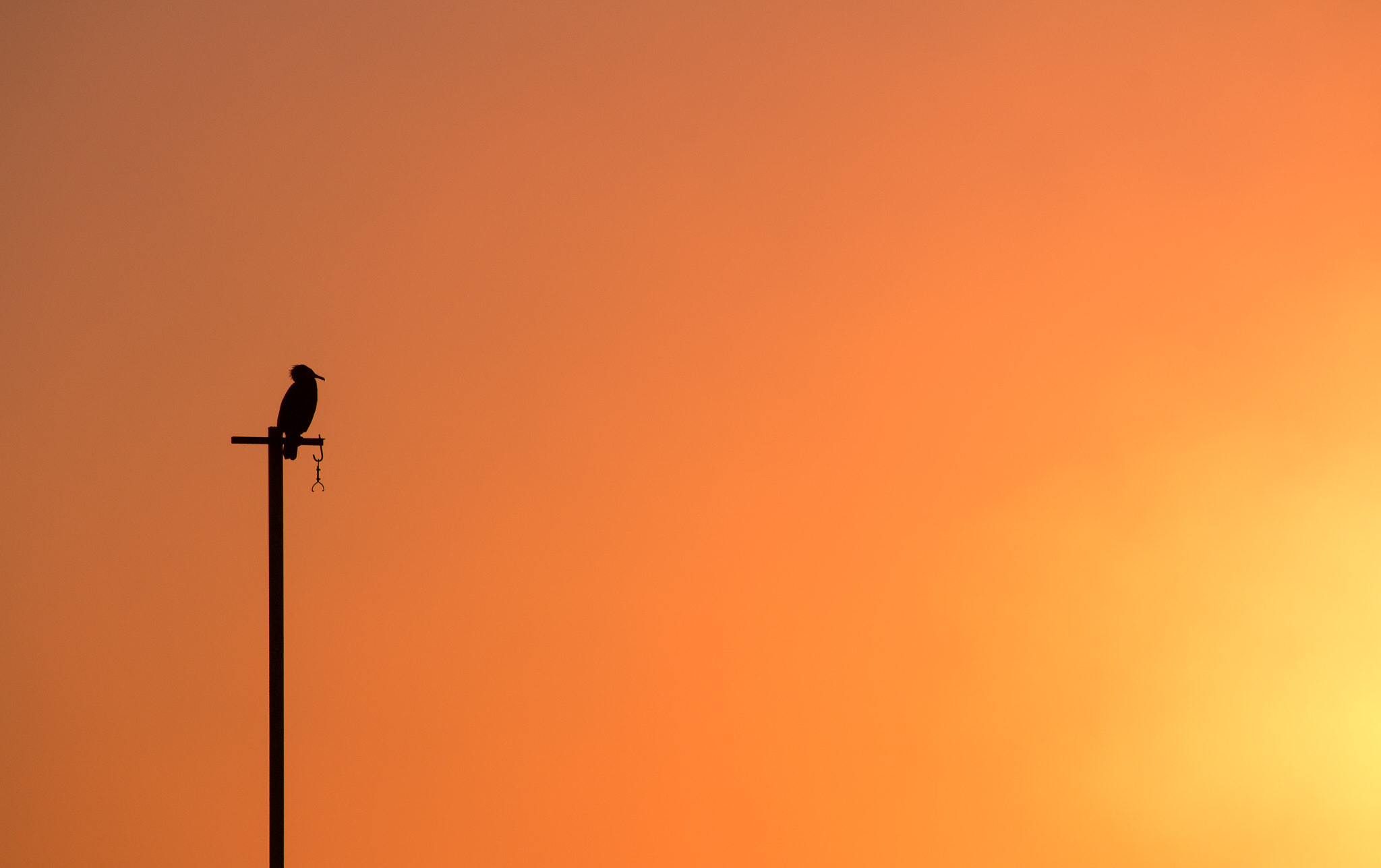 Canon EF-S 55-250mm F4-5.6 IS STM sample photo. Waiting for the night photography