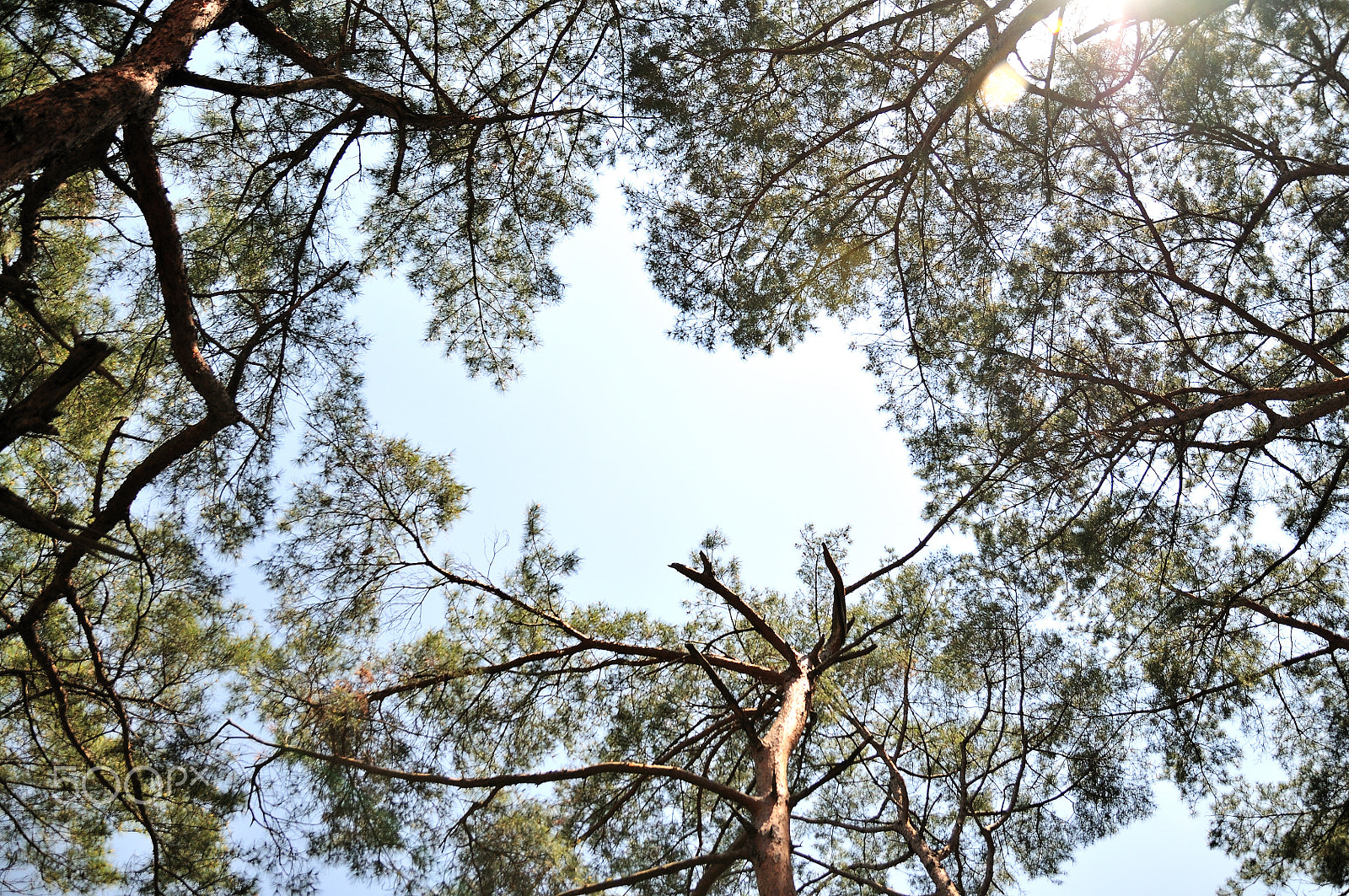 Nikon D300 sample photo. Sky view photography