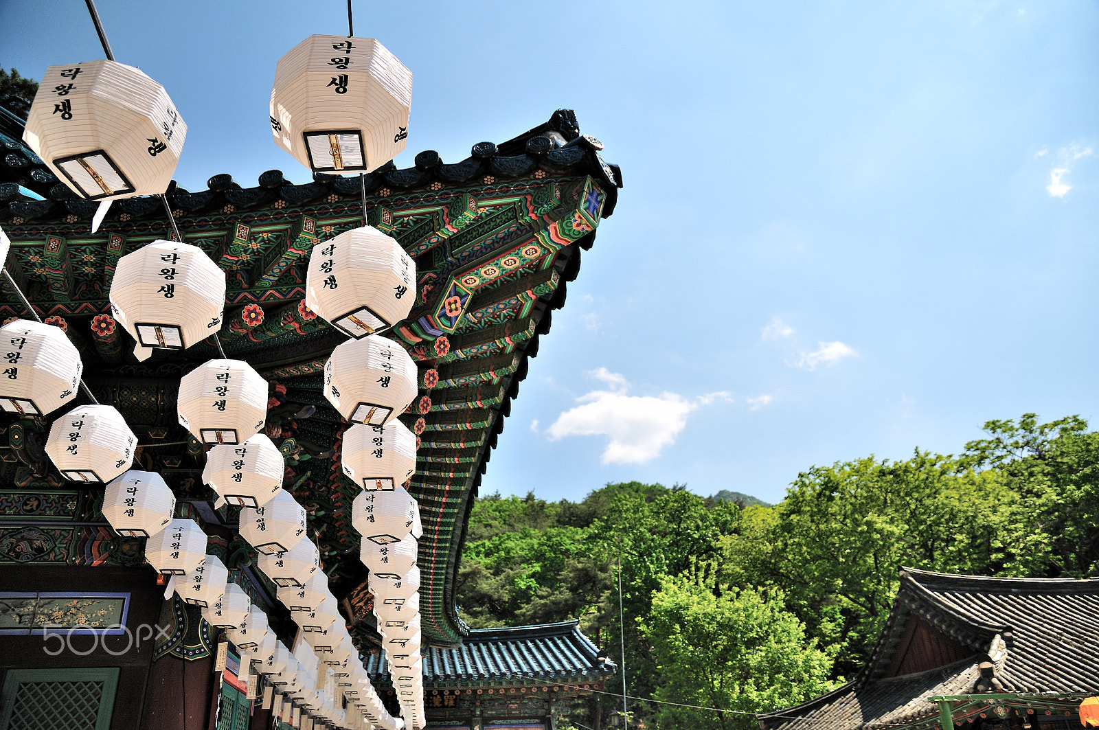 Nikon D300 sample photo. In temple... photography