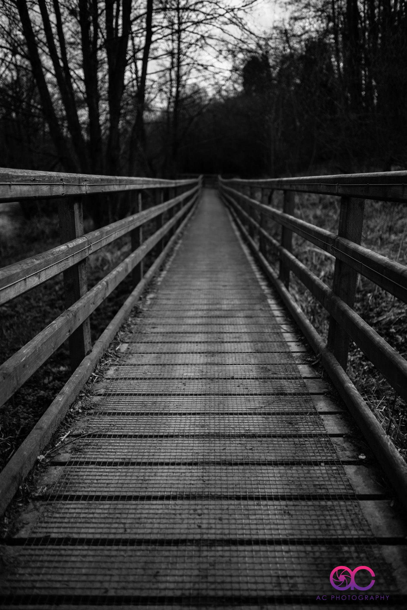 Nikon D750 sample photo. A walkway to nowhere photography