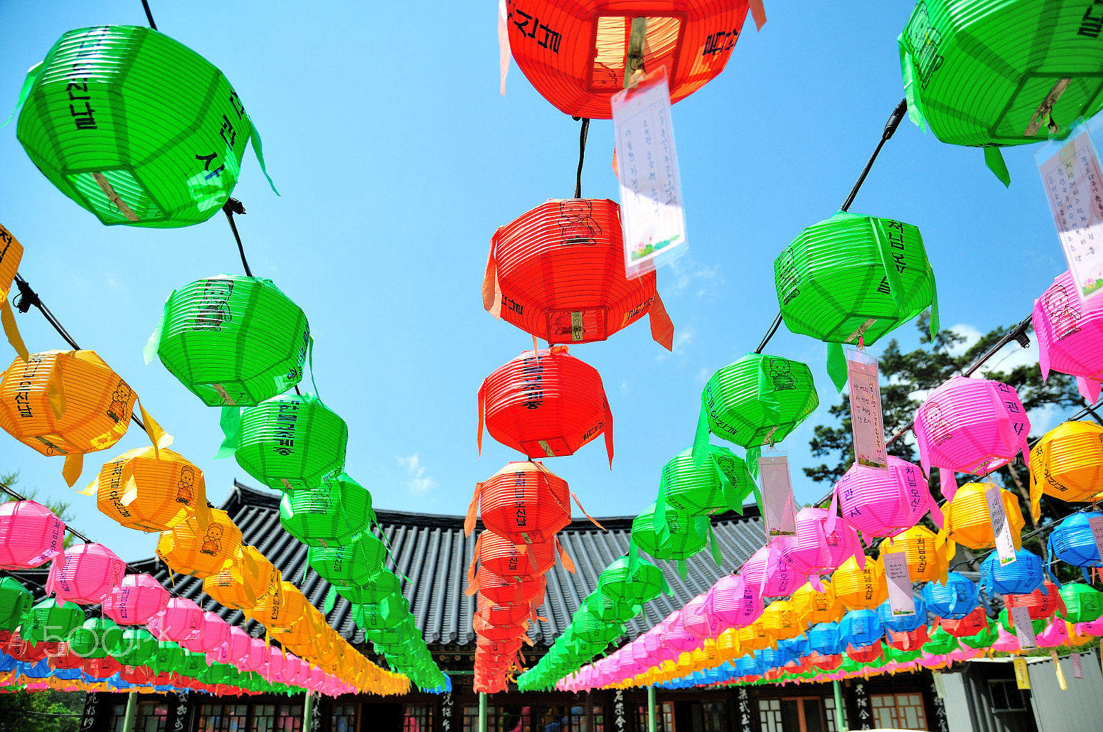 Nikon D300 sample photo. In temple... photography