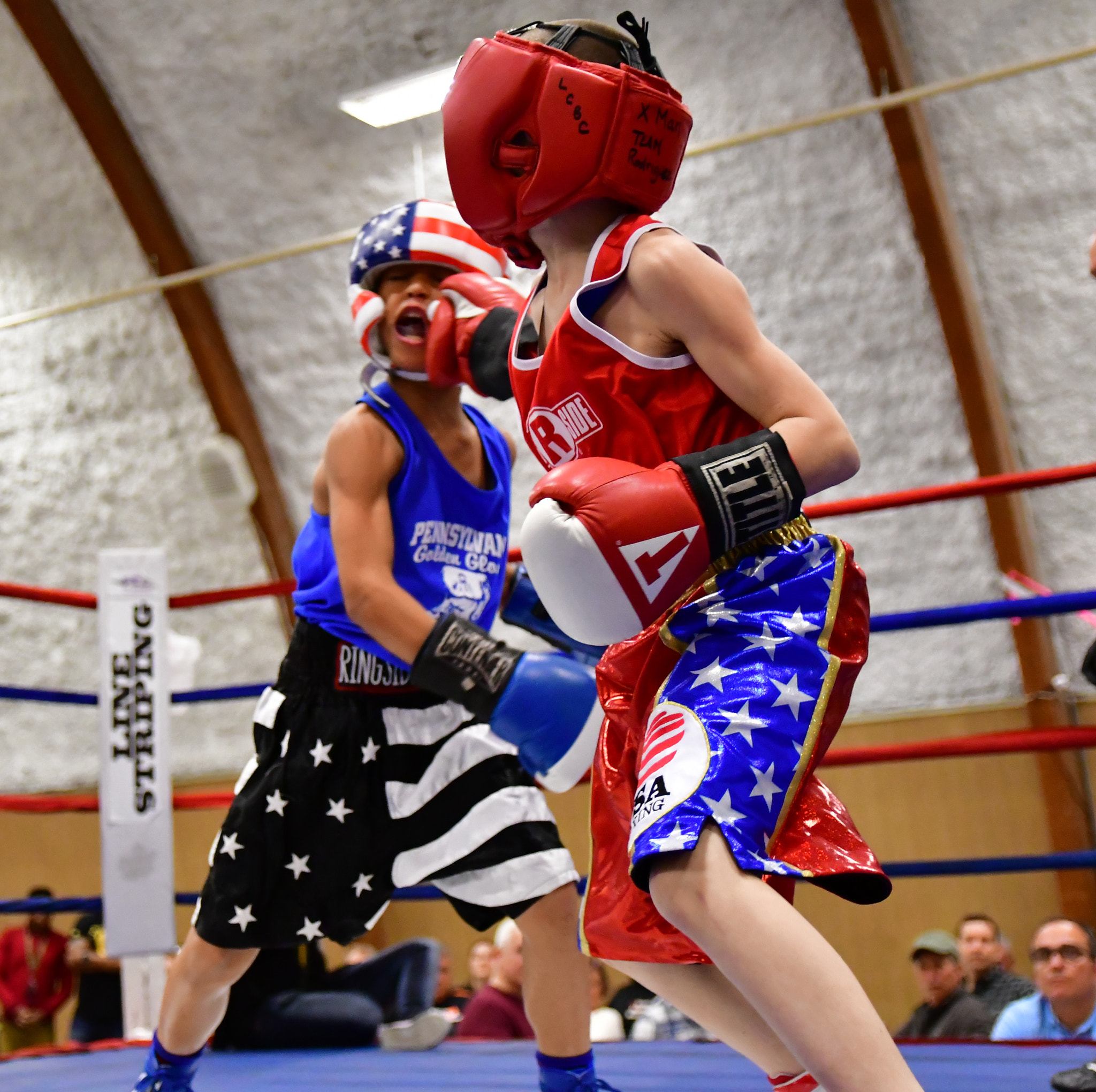 Sigma 17-50mm F2.8 EX DC OS HSM sample photo. Pa golden gloves photography