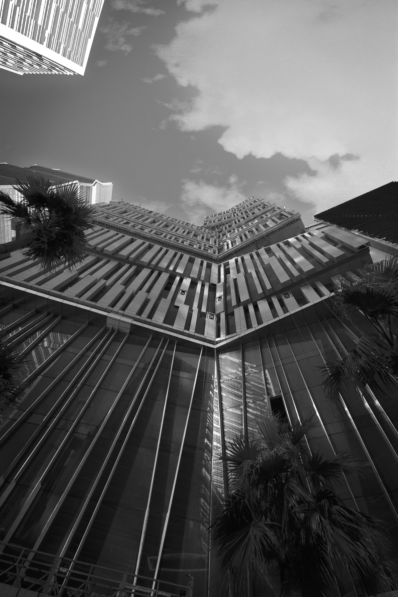 Sigma 10-20mm F4-5.6 EX DC HSM sample photo. Lines to up don't look down photography