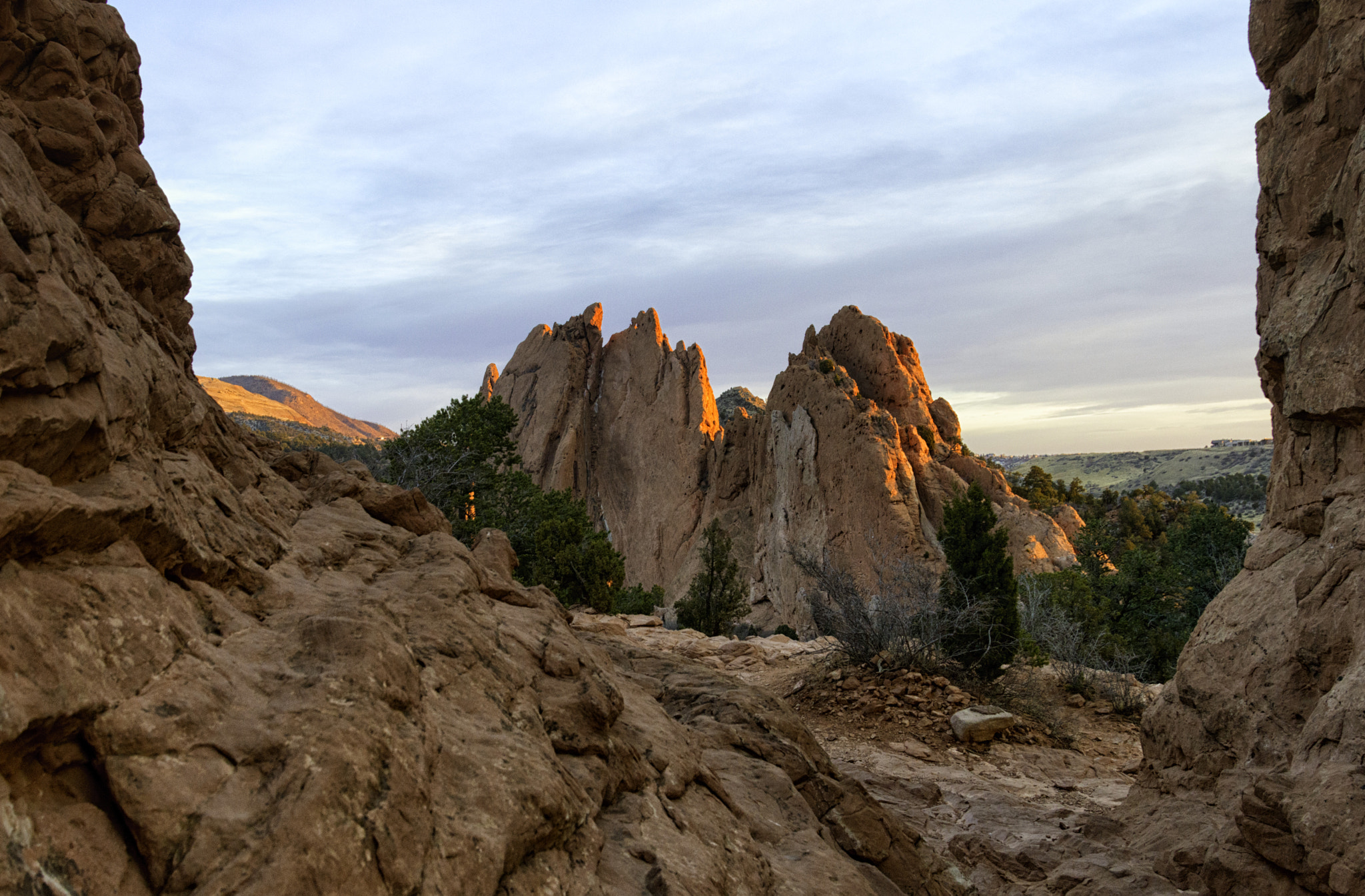 Nikon D3200 sample photo. Garden sunrise photography