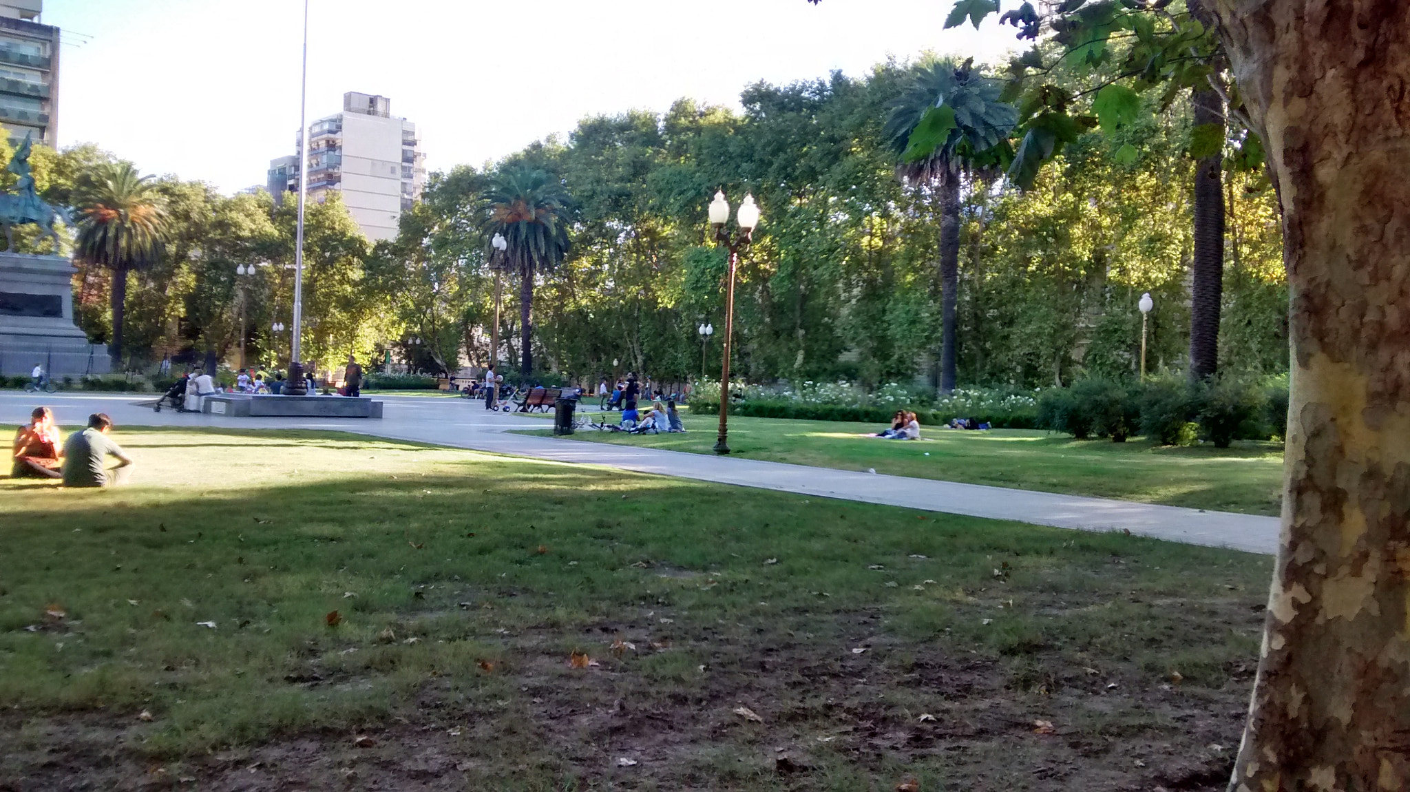 Motorola XT1032 sample photo. Nice photography