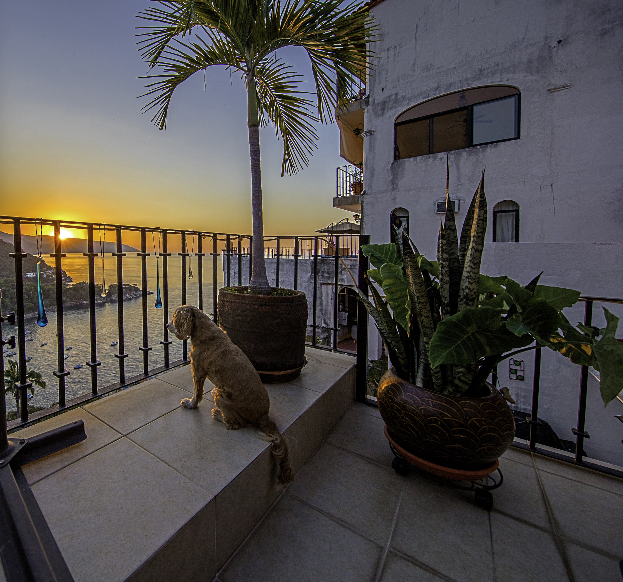 Canon EF 11-24mm F4L USM sample photo. Edit photography