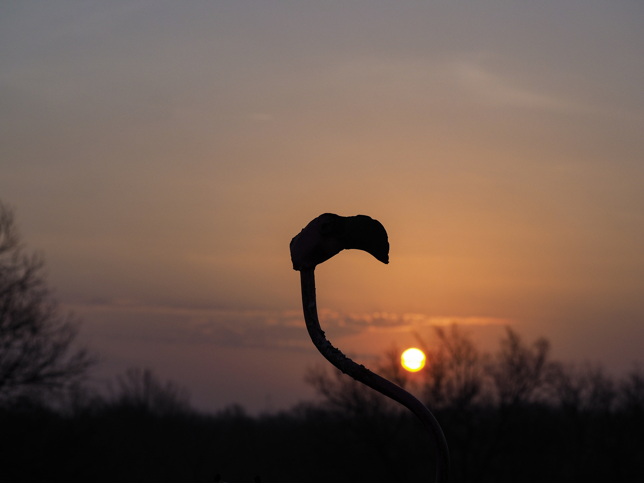 Olympus OM-D E-M10 sample photo. Sun up and fake birds photography