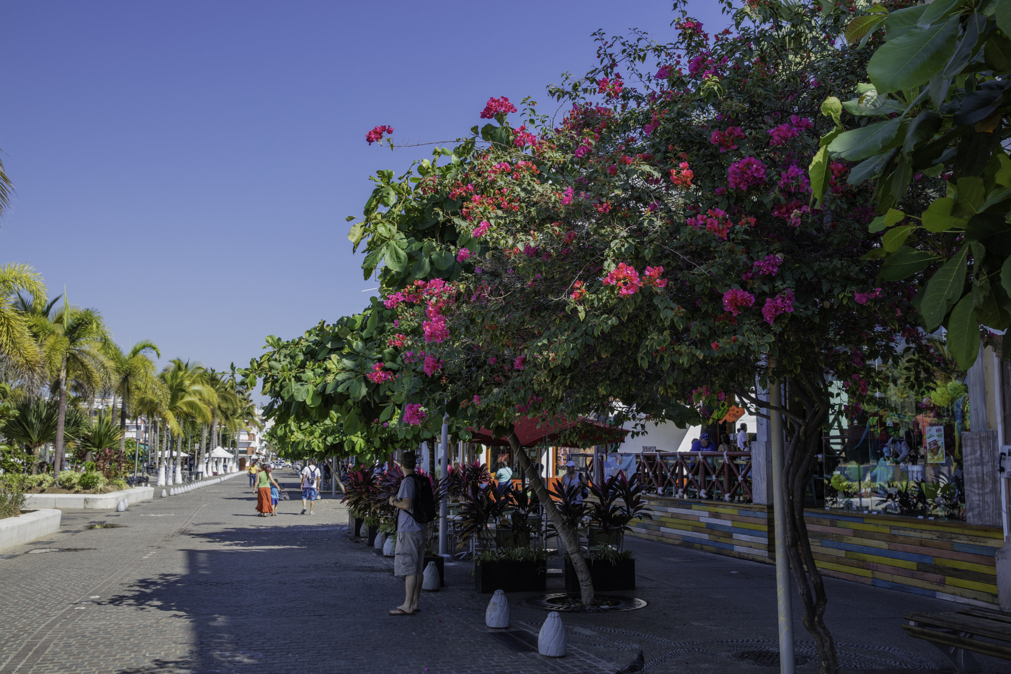 Canon EOS 5DS sample photo. Ha photography