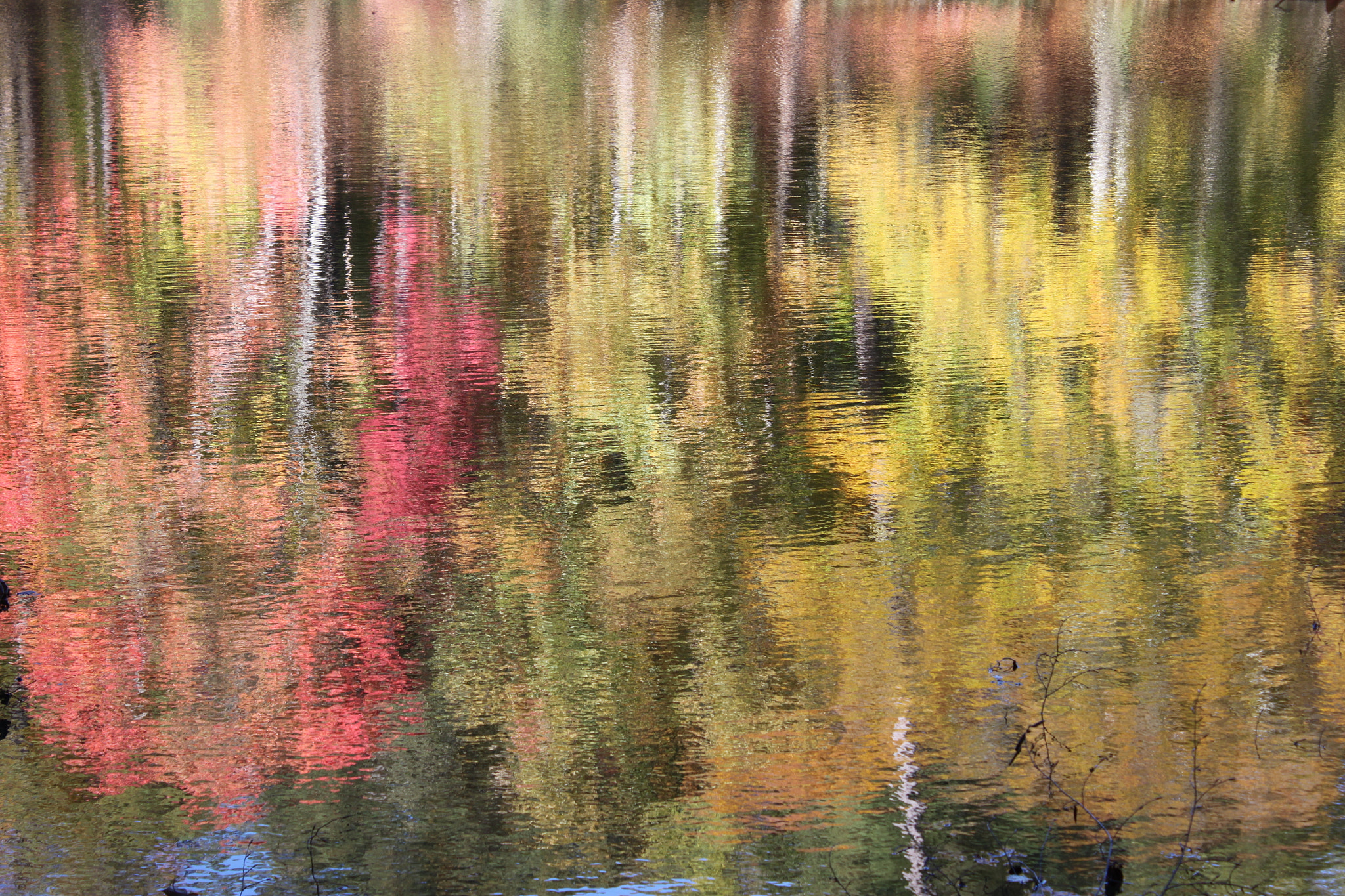 Canon EF-S 18-55mm F3.5-5.6 IS sample photo. Reflections photography