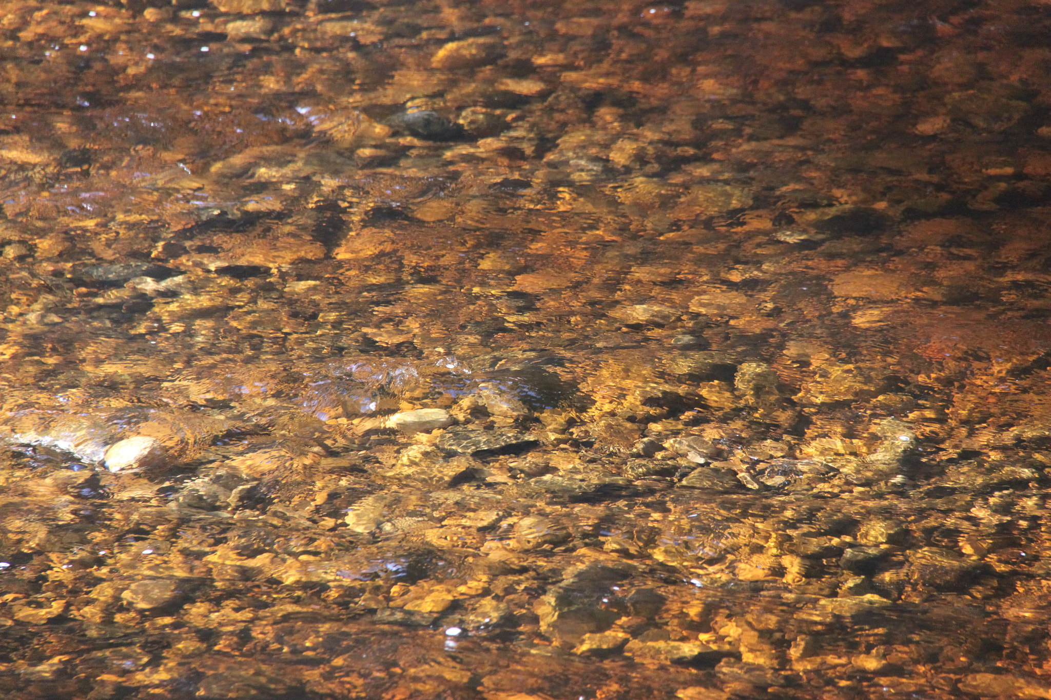 Canon EF-S 18-200mm F3.5-5.6 IS sample photo. Rocks in water photography