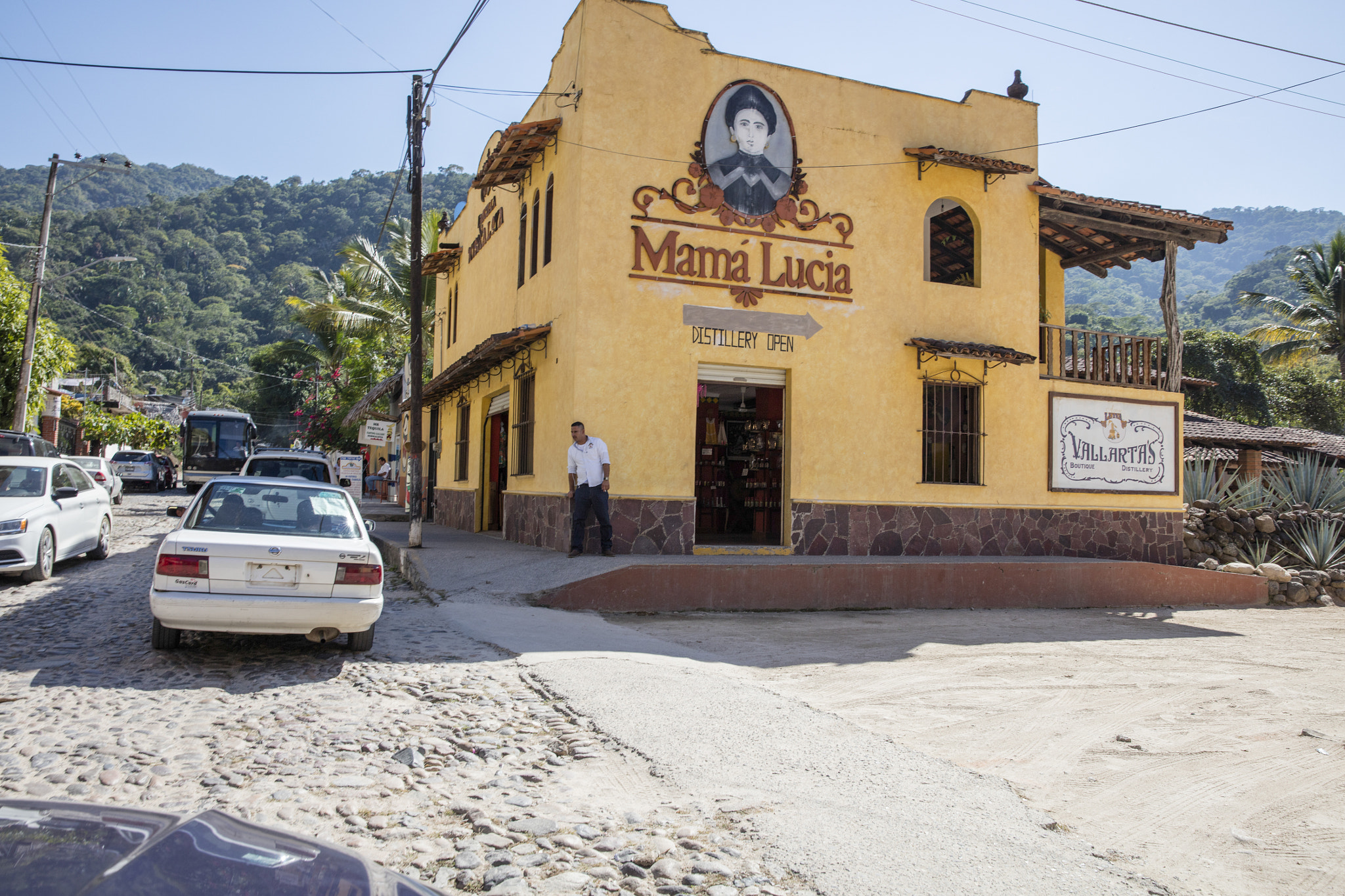 Canon EOS 5DS sample photo. Puerto vallarta photography