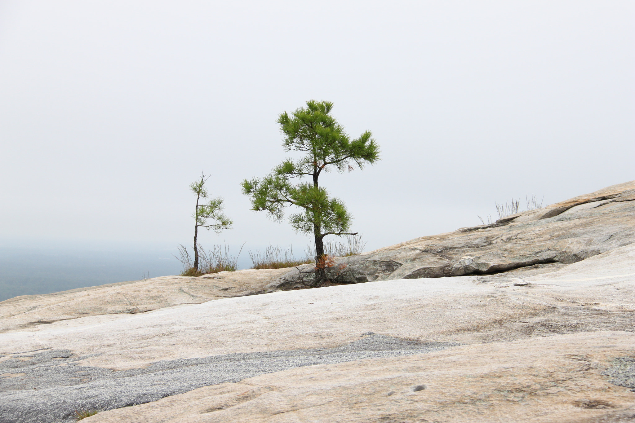 Canon EF-S 18-200mm F3.5-5.6 IS sample photo. Trees in cliff side photography
