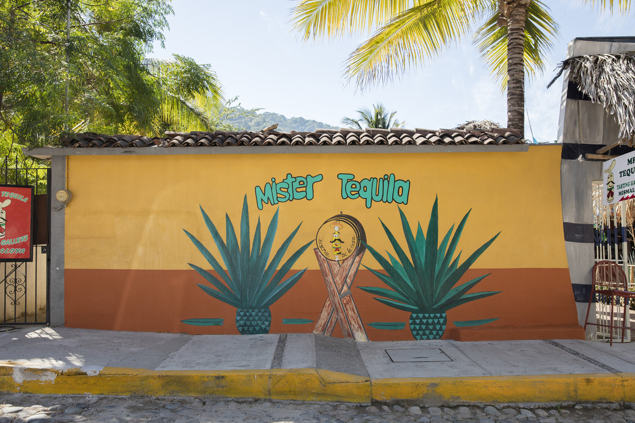 Canon EOS 5DS sample photo. Puerto vallarta photography