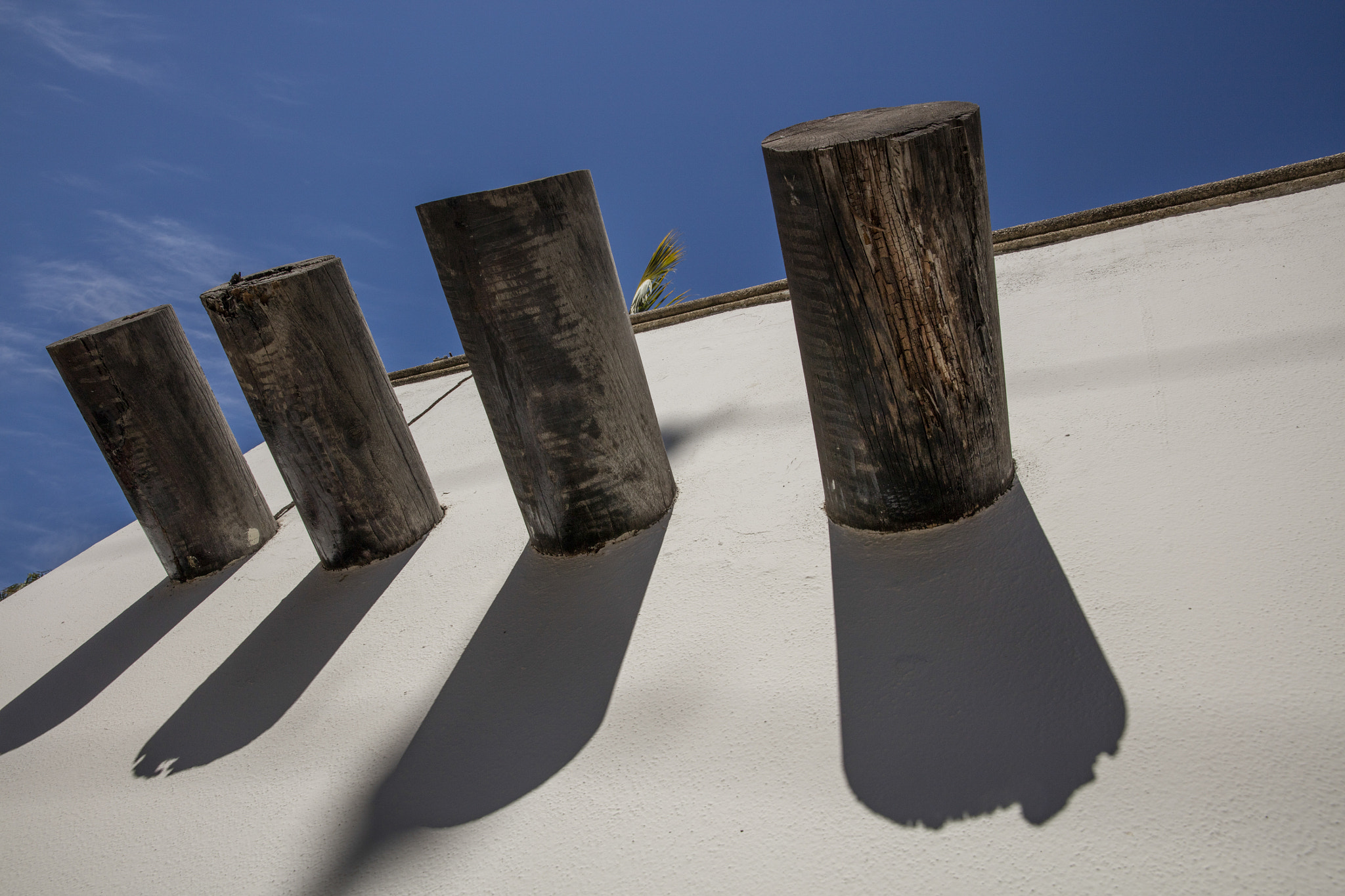 Canon EOS 5DS sample photo. Puerto vallarta photography