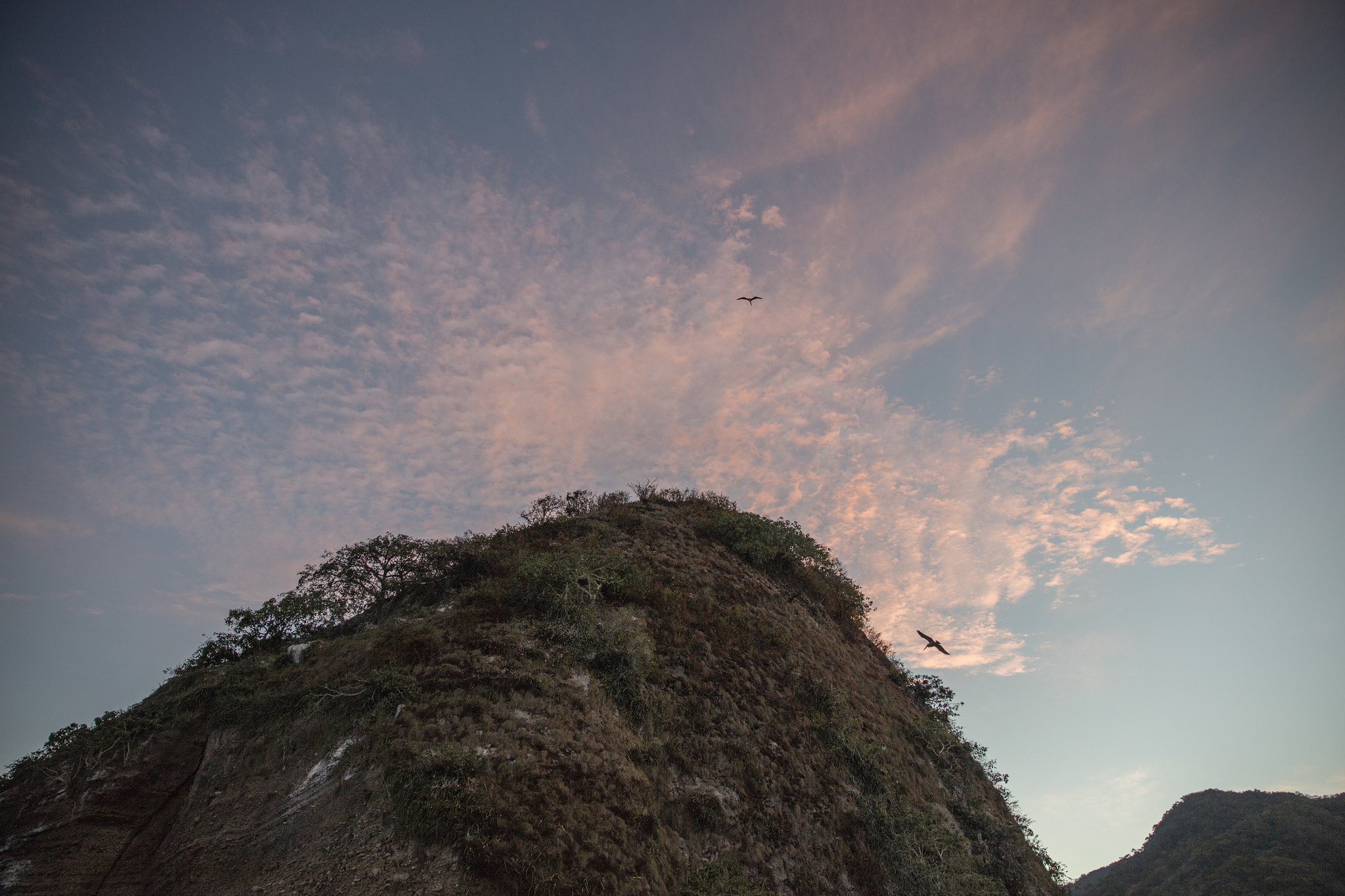 Canon EOS 5DS sample photo. Puerto vallarta photography