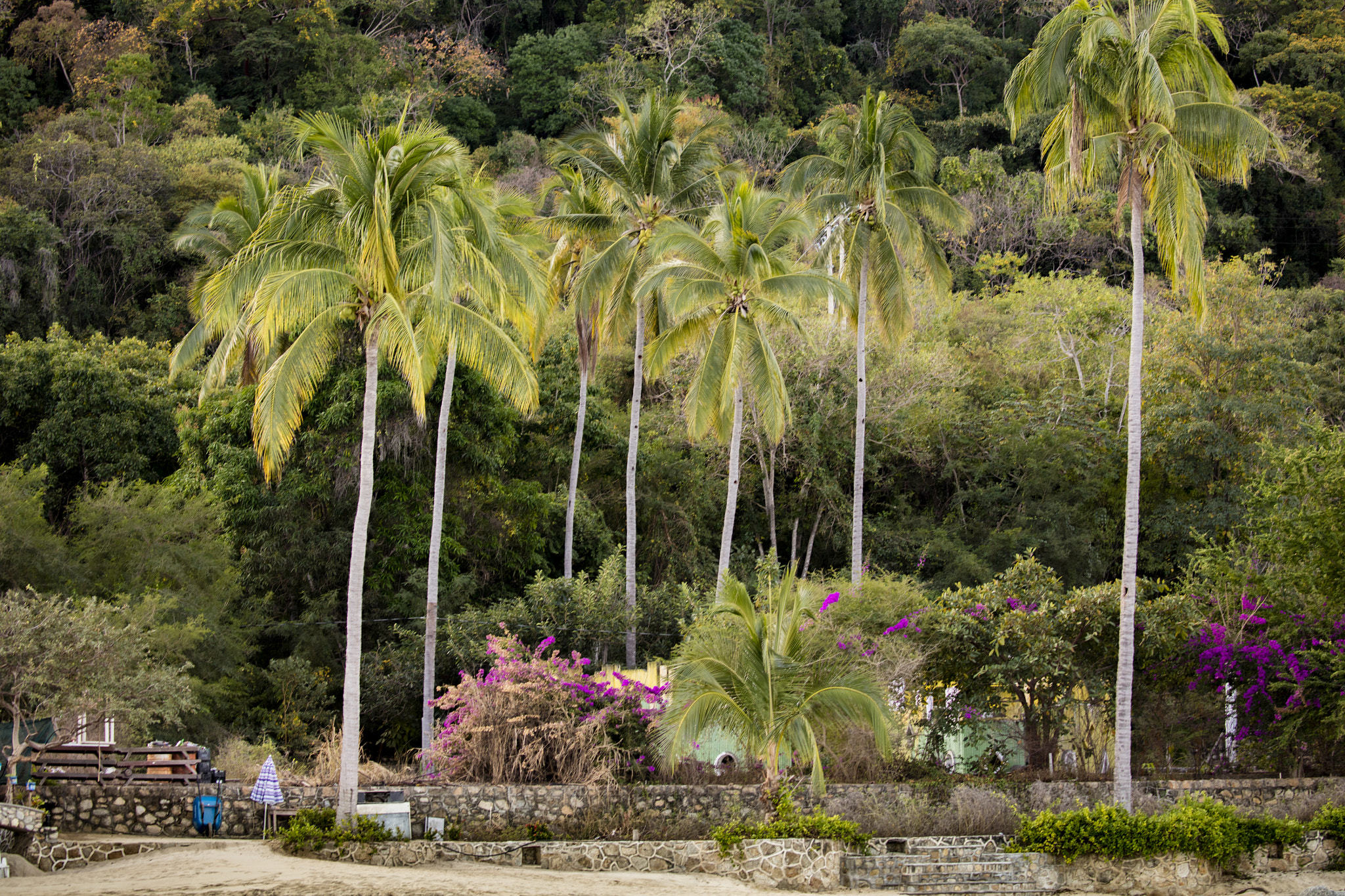 Canon EOS 5DS sample photo. Puerto vallarta photography