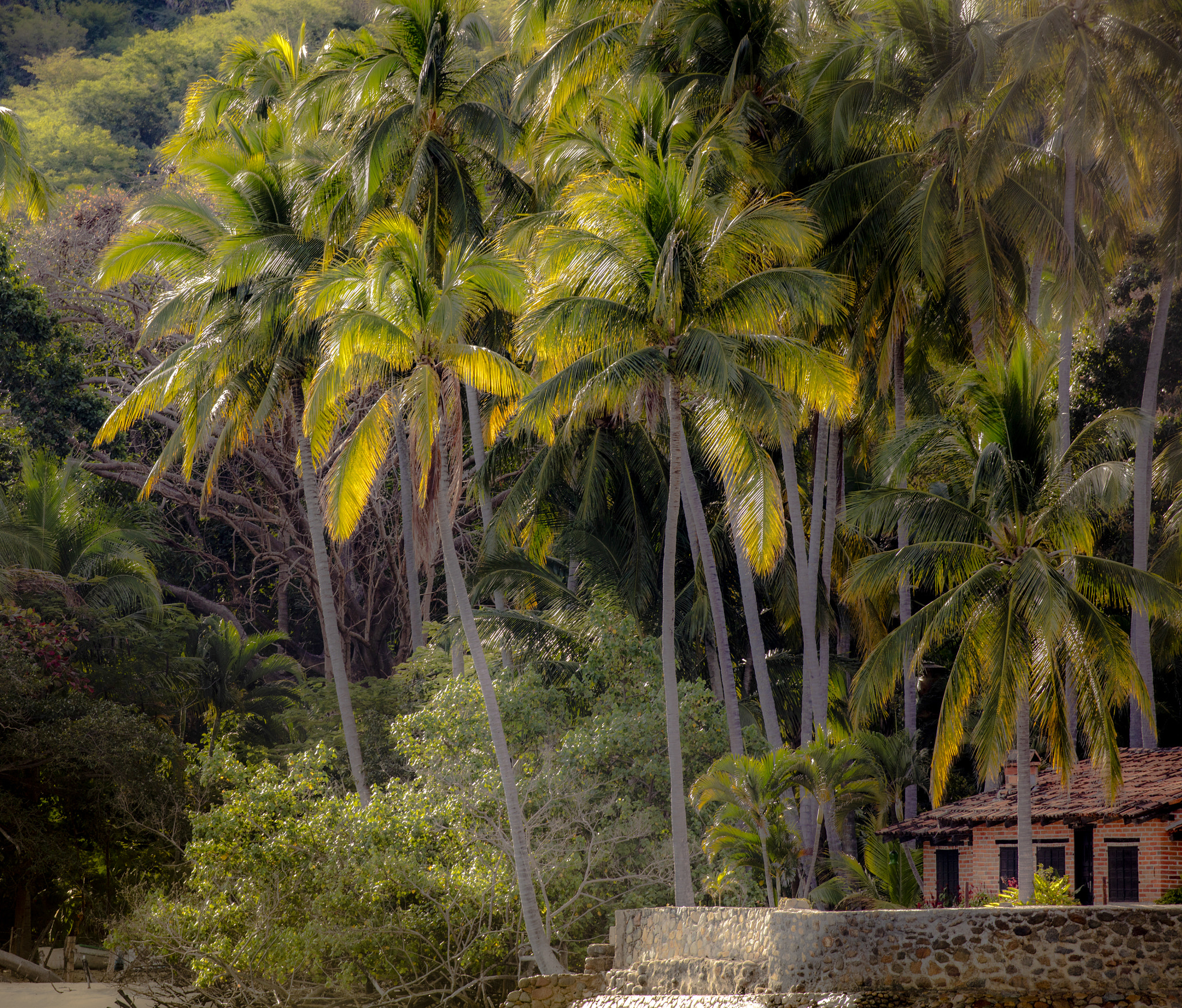 Canon EOS 5DS sample photo. Puerto vallarta photography