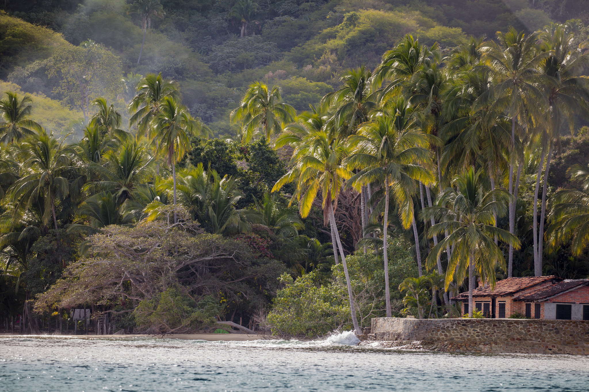 Canon EOS 5DS sample photo. Puerto vallarta photography
